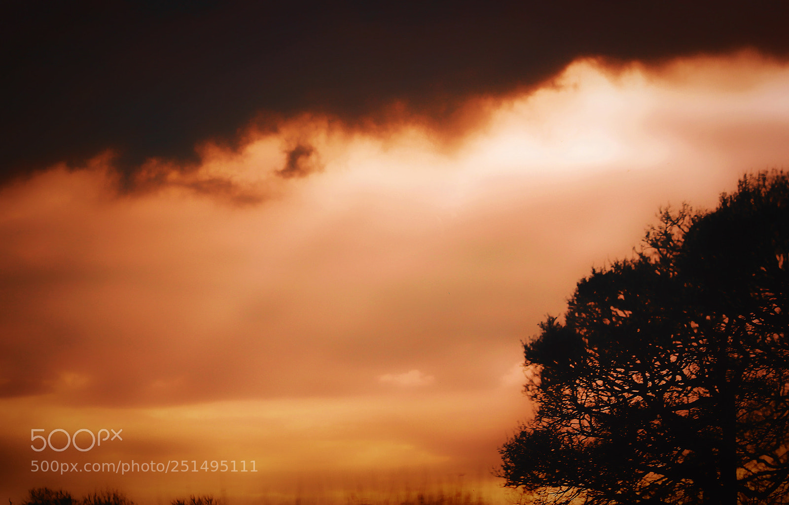 Canon EOS 700D (EOS Rebel T5i / EOS Kiss X7i) sample photo. Dreamy sunset photography