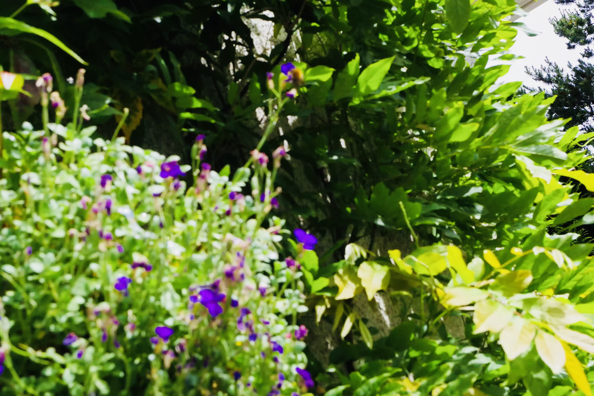 Pentax K-S1 sample photo