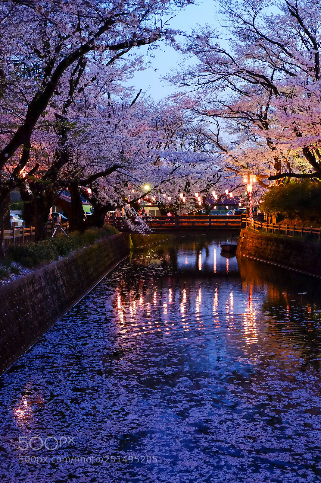 Fujifilm X-E2 sample photo. 夜桜 photography