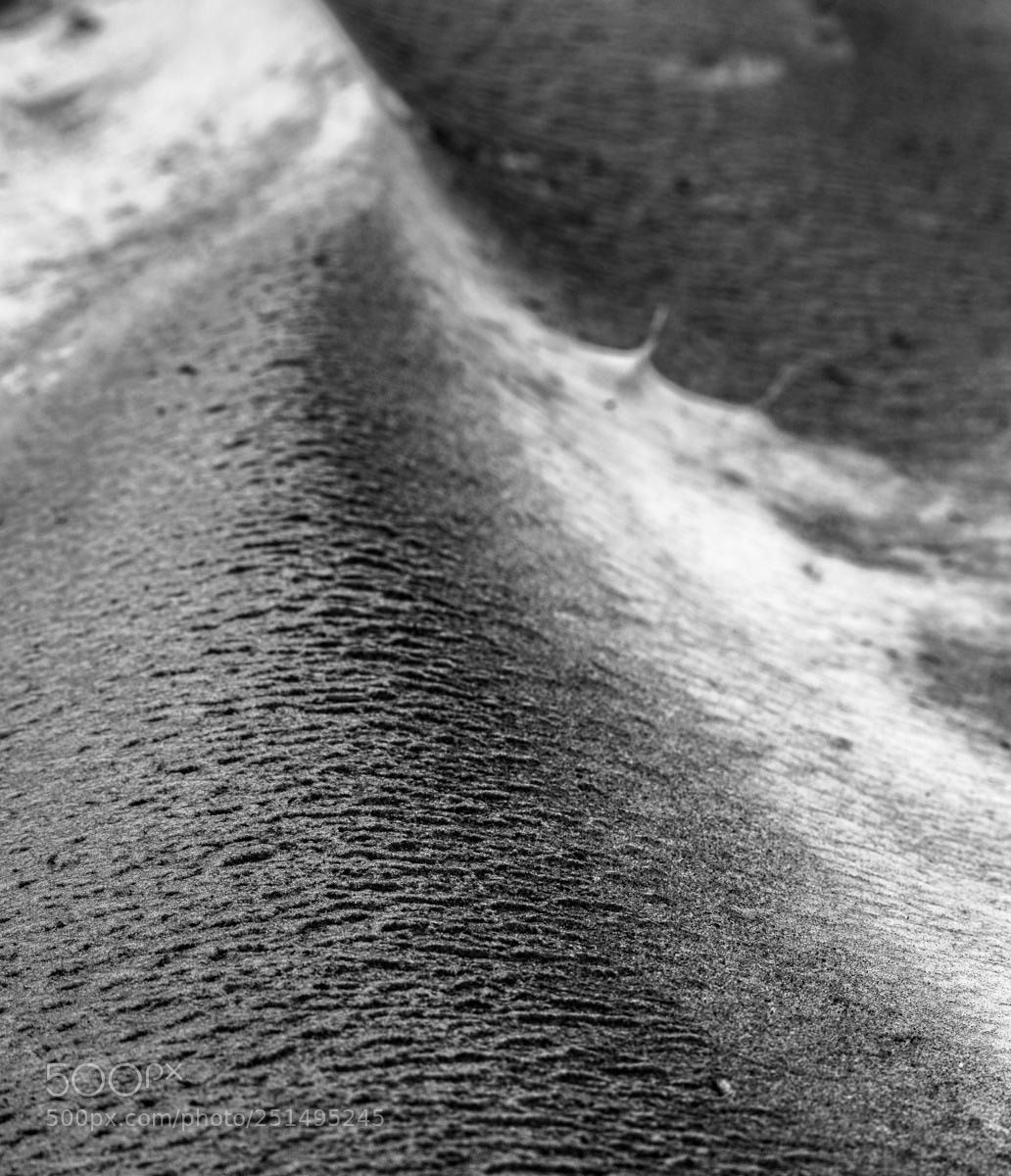 Nikon D810 sample photo. Dirty snow drift photography