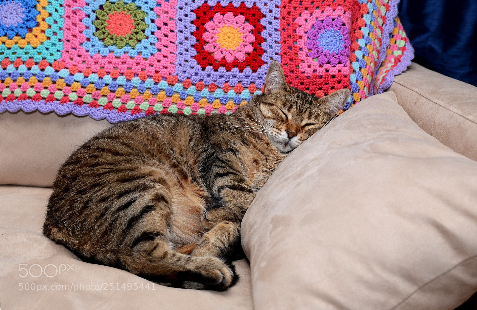 Nikon D7000 sample photo. Such a hard life! photography