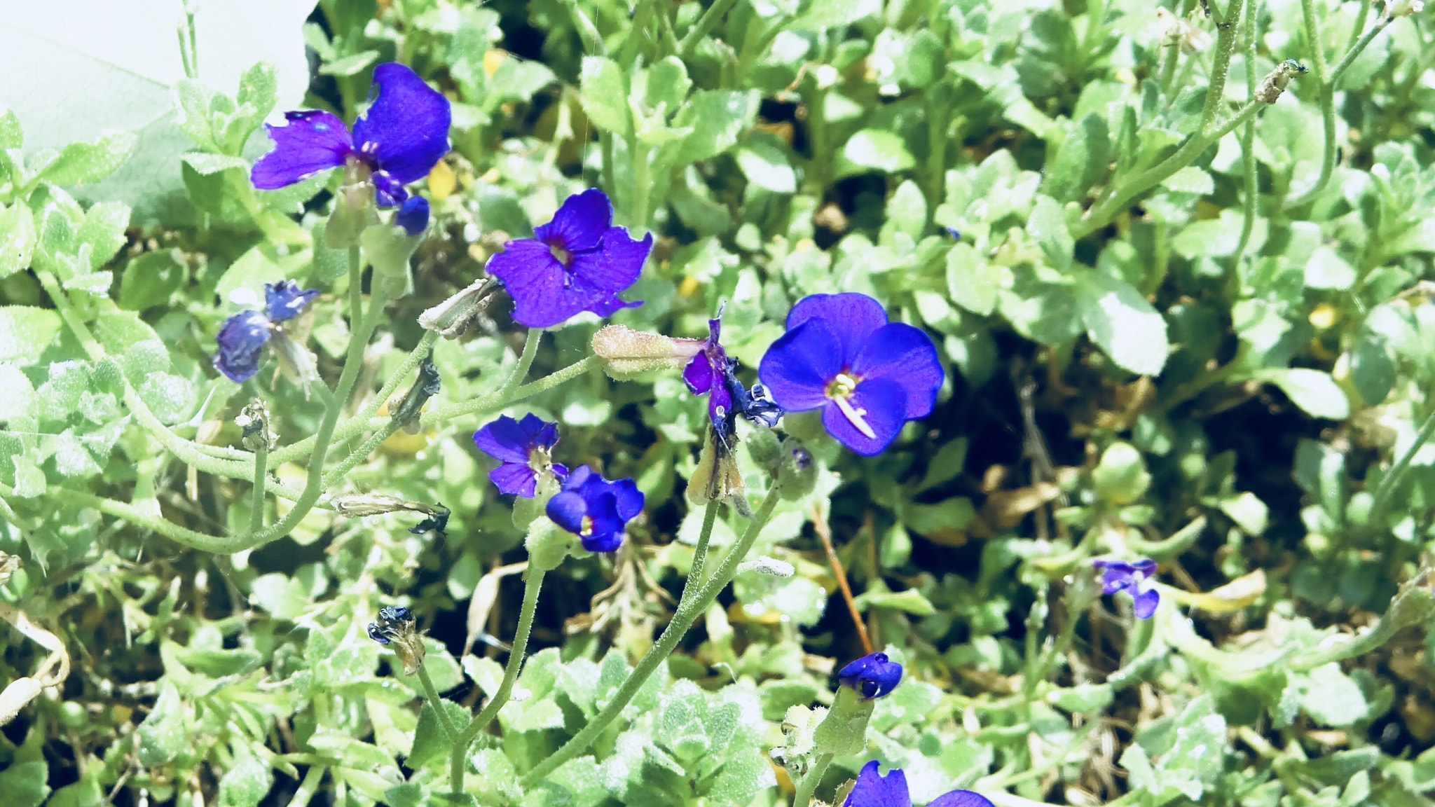 Samsung Galaxy Camera 2 sample photo