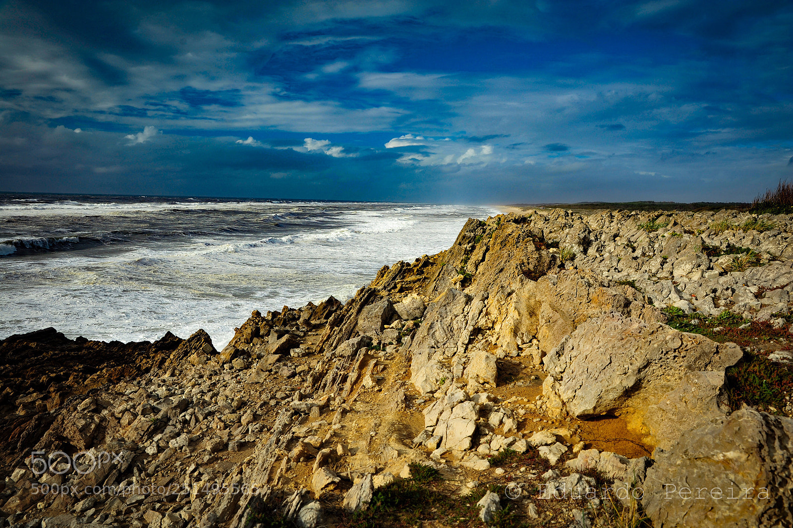 Nikon D700 sample photo. Untitled photography