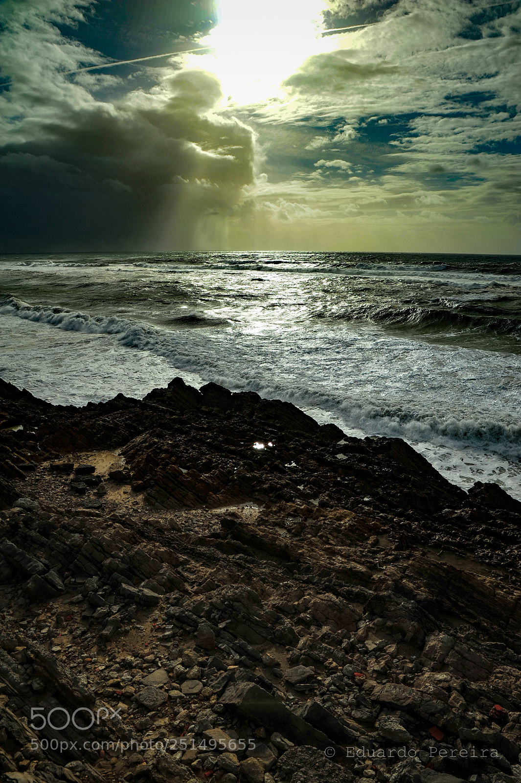 Nikon D700 sample photo. Untitled photography