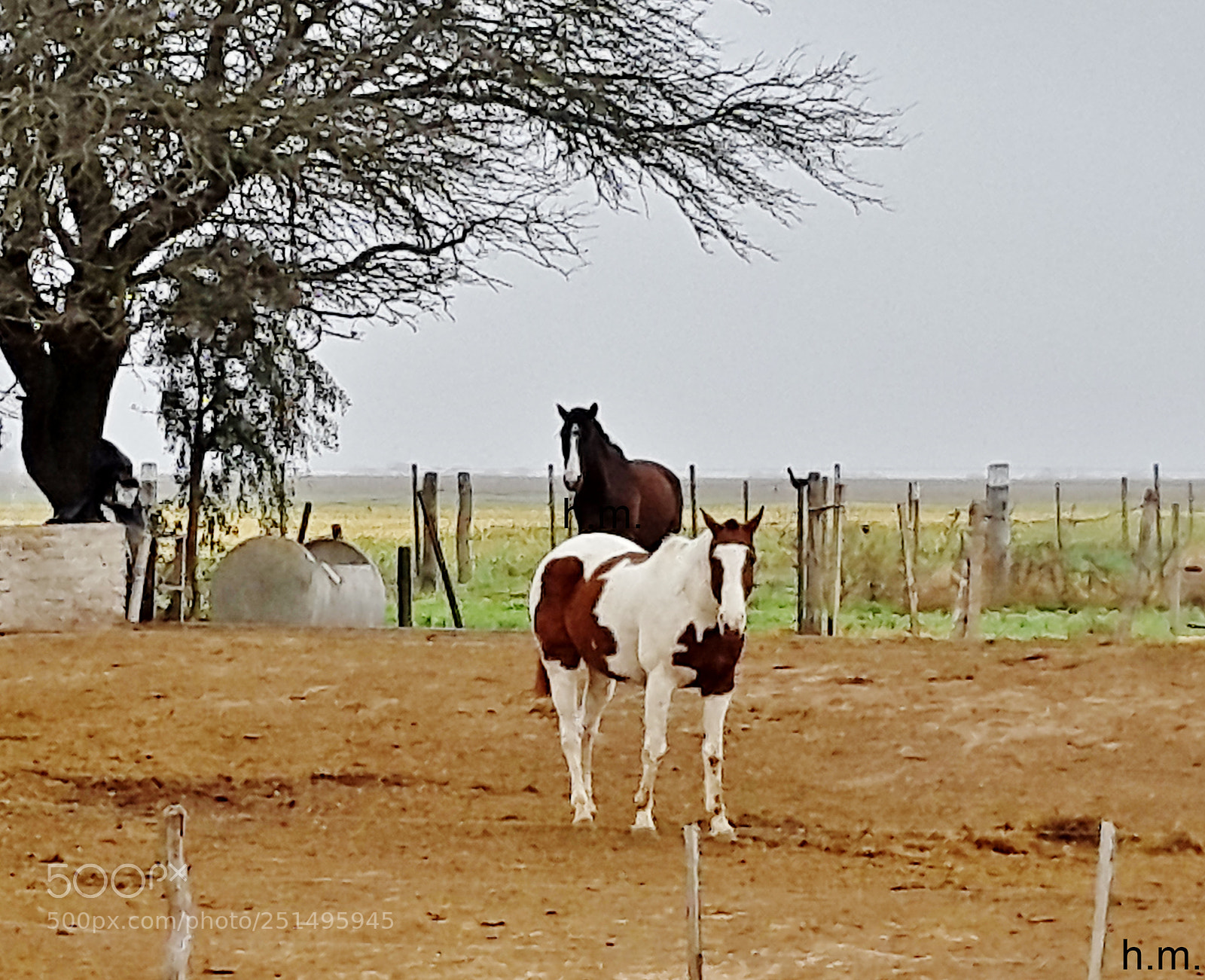 Samsung Galaxy S5 sample photo. Debfo photography