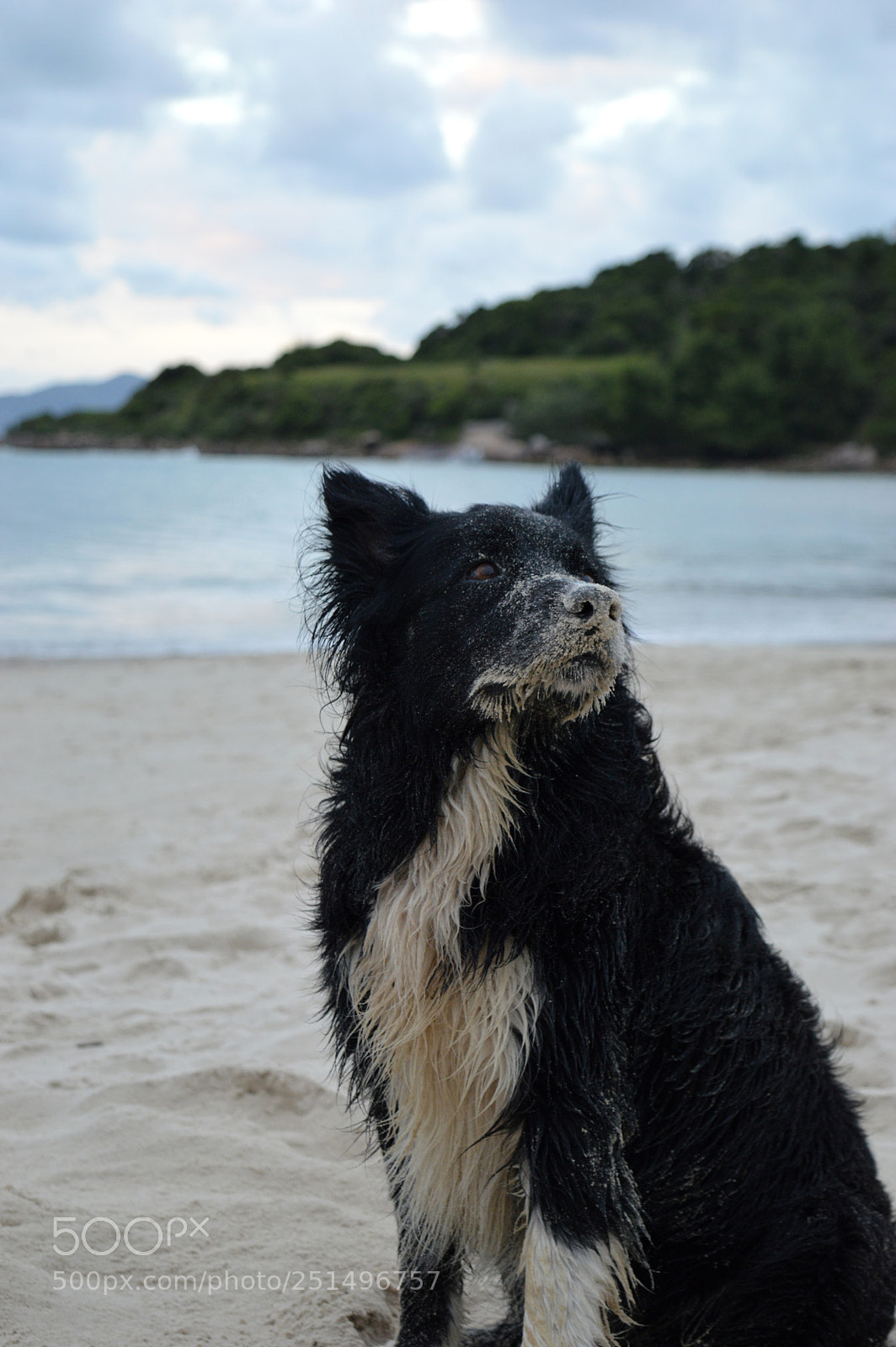 Nikon D3200 sample photo. Friend photography