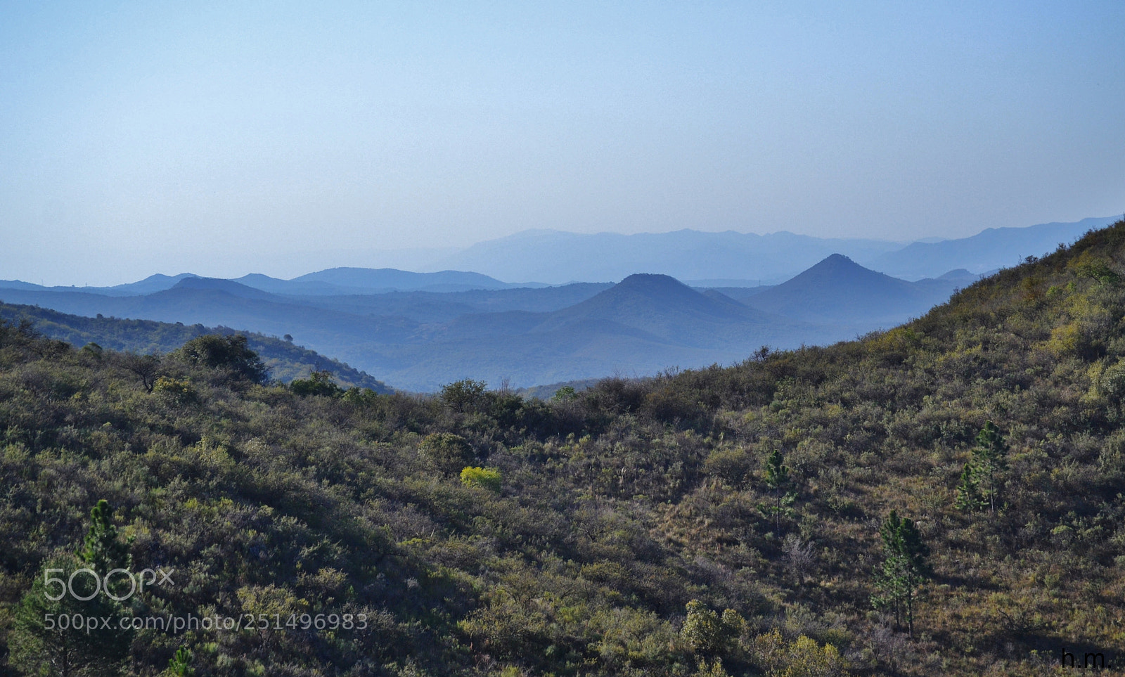 Nikon D3100 sample photo. Bfedo photography
