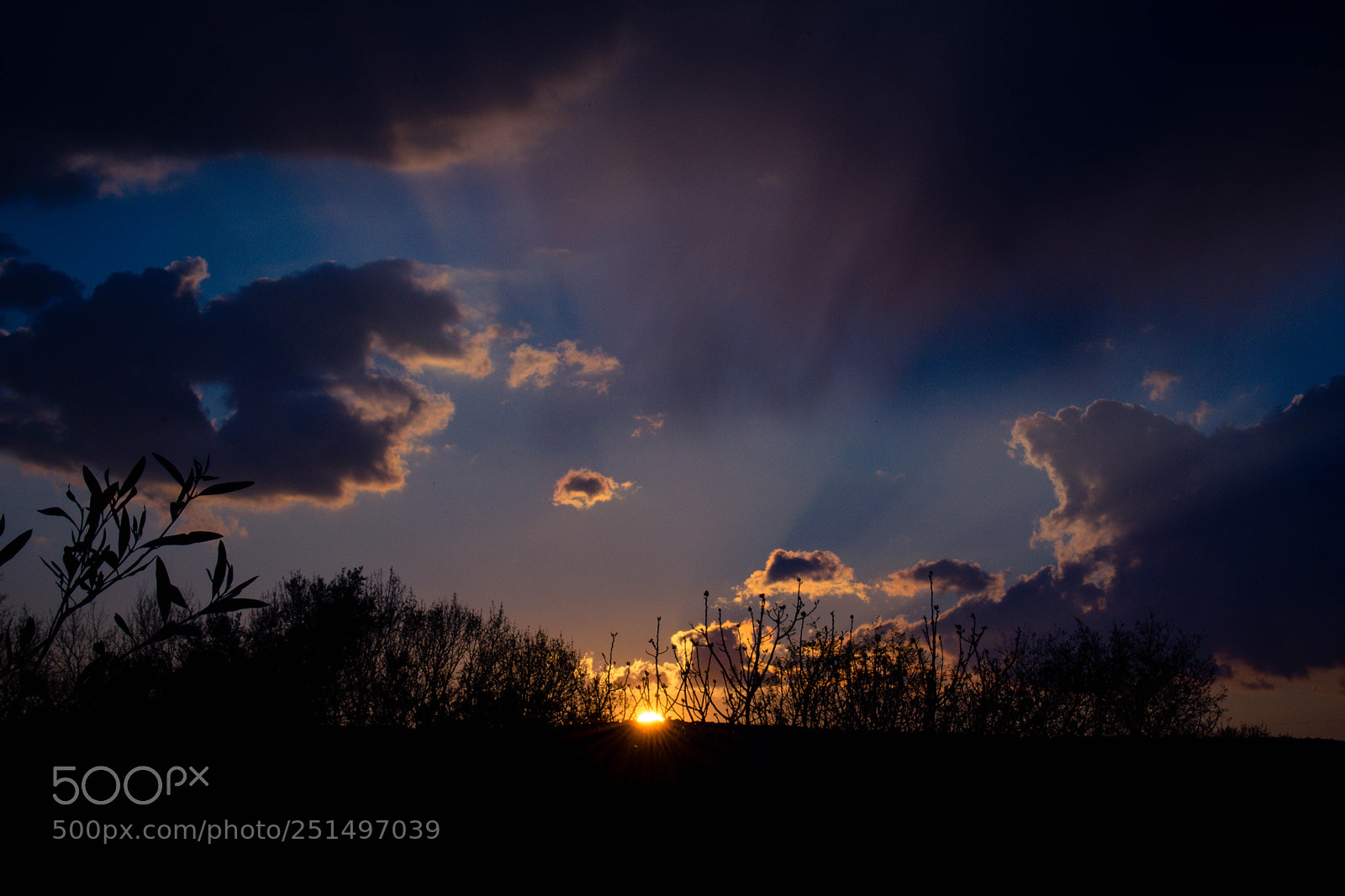 Nikon D3300 sample photo. Sunset photography