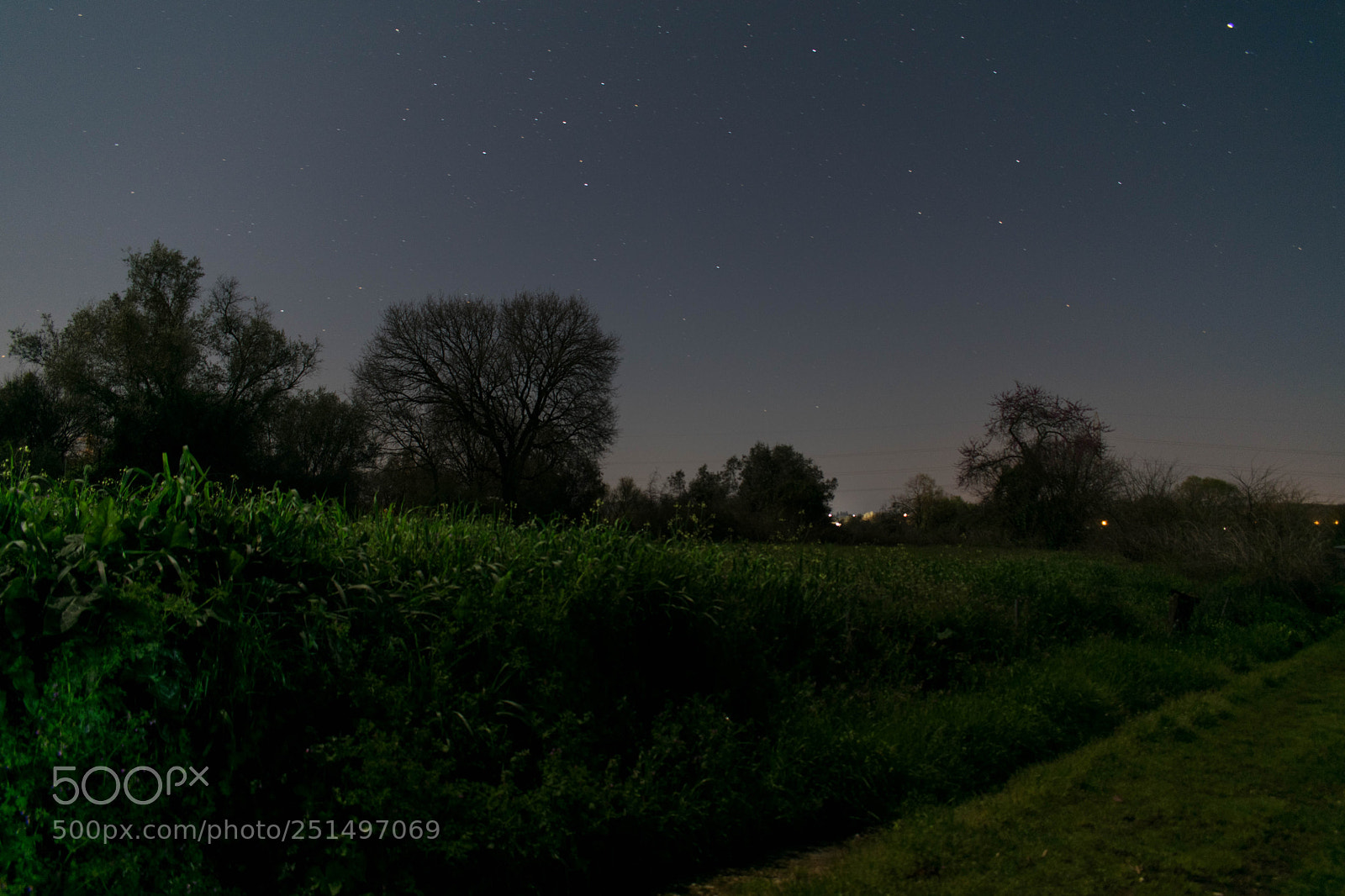 Nikon D3300 sample photo. Night life photography