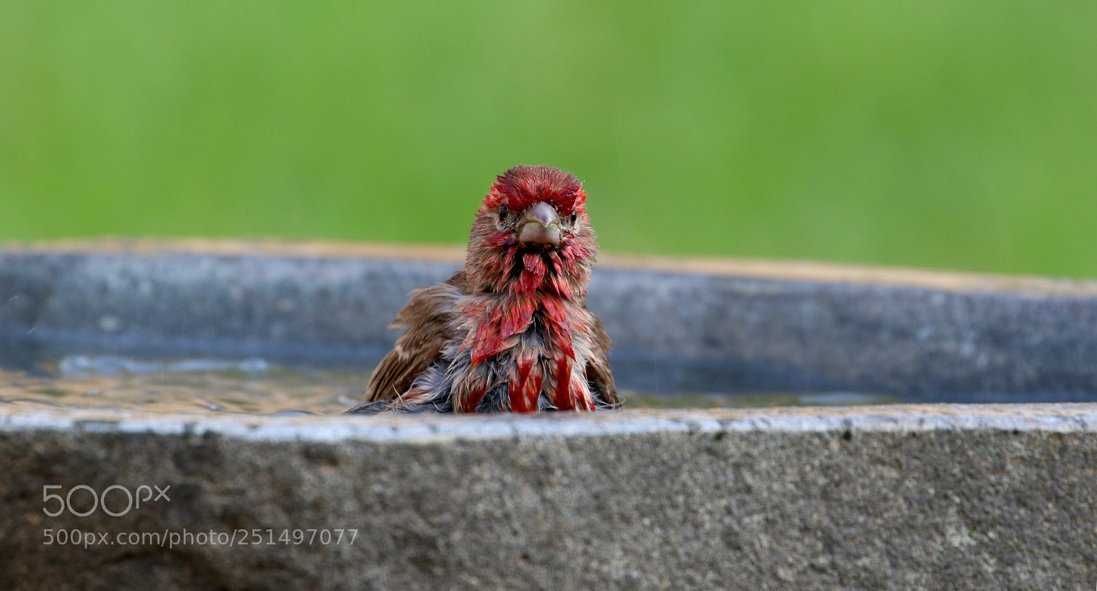 Canon EOS 7D Mark II sample photo. And now what....? photography