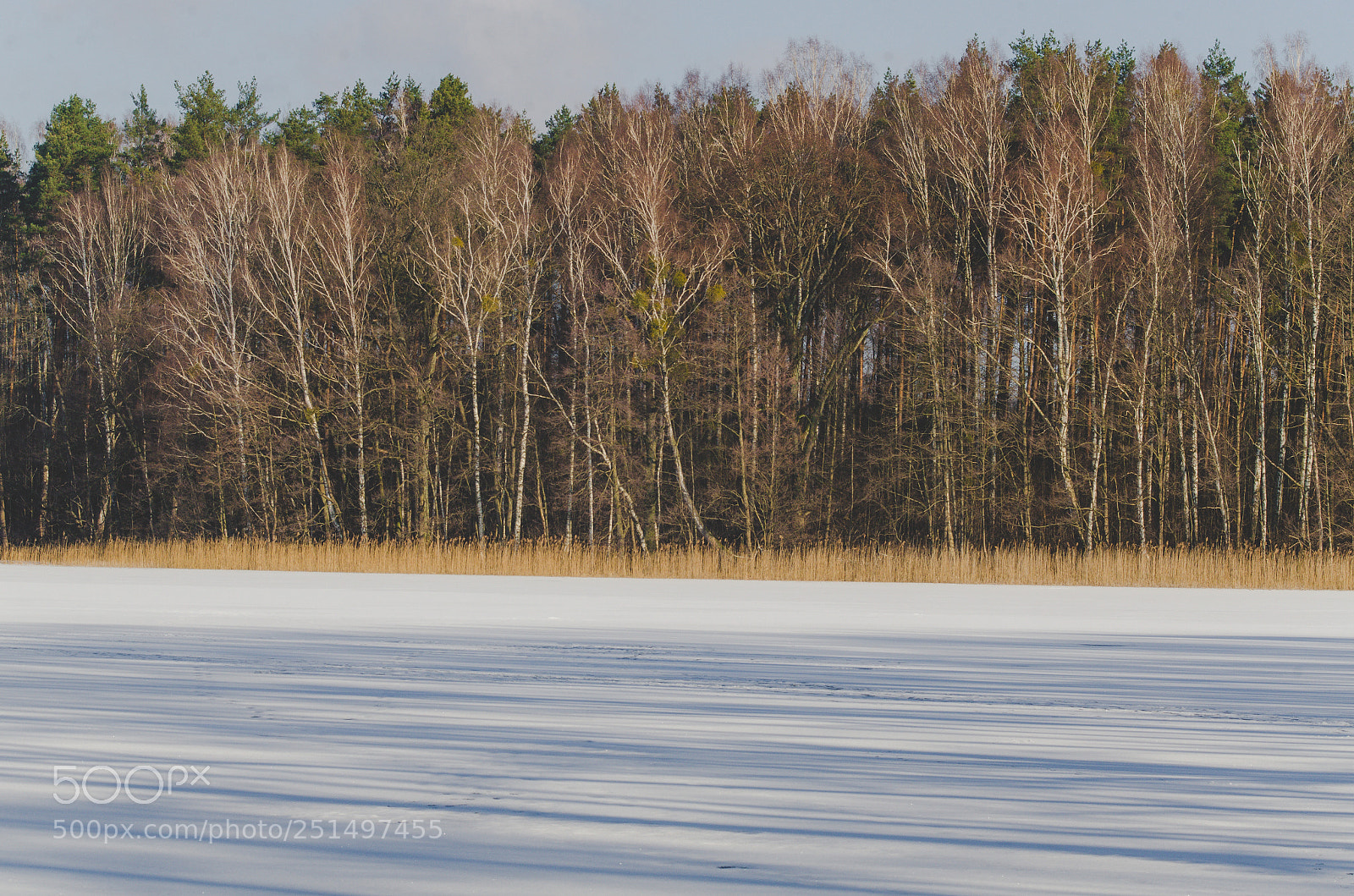 Nikon D7000 sample photo. Łańskie lake photography