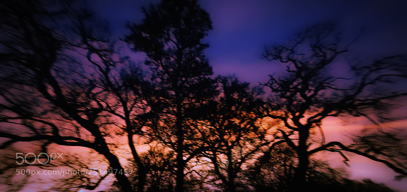Canon EOS 700D (EOS Rebel T5i / EOS Kiss X7i) sample photo. Fiery trees photography
