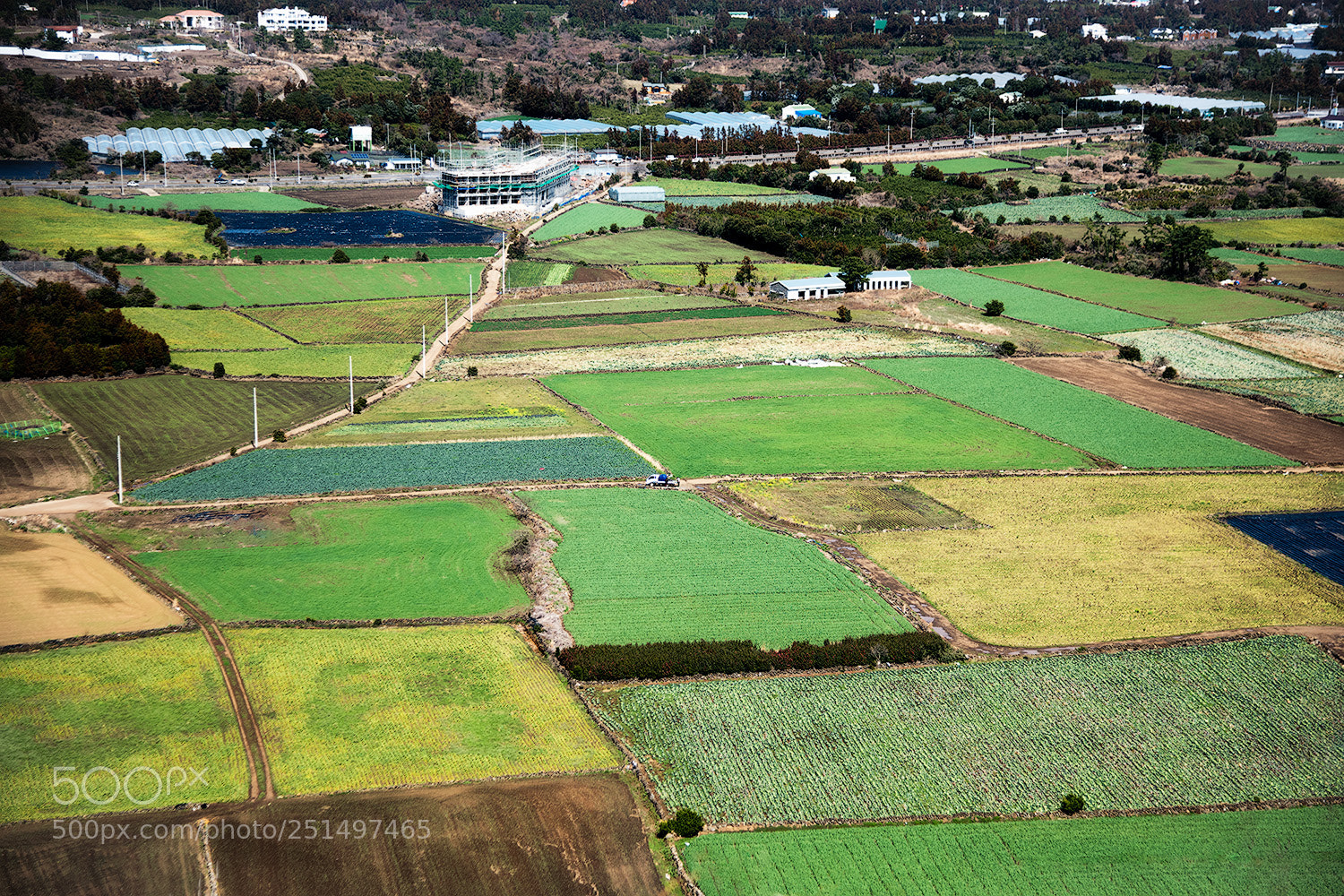 Nikon D810 sample photo. Work by farmers photography