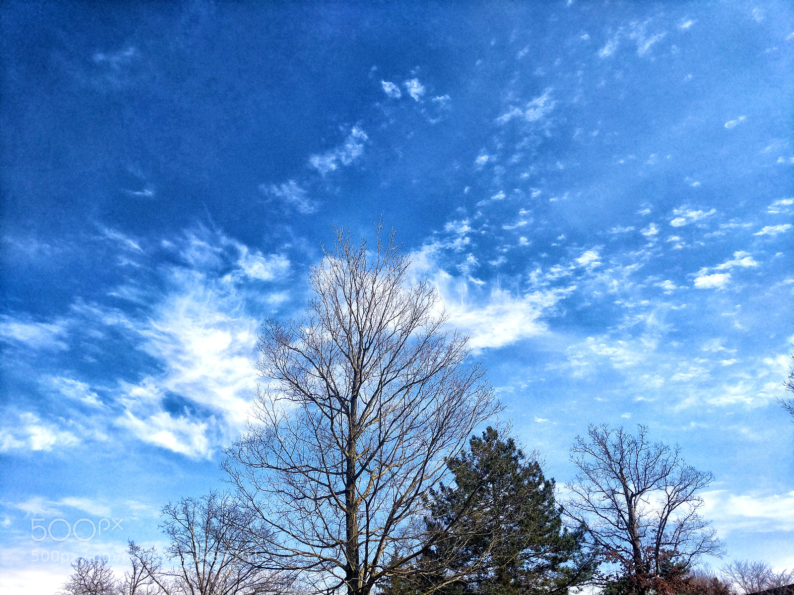 Google Pixel XL sample photo. Sky clouds photography