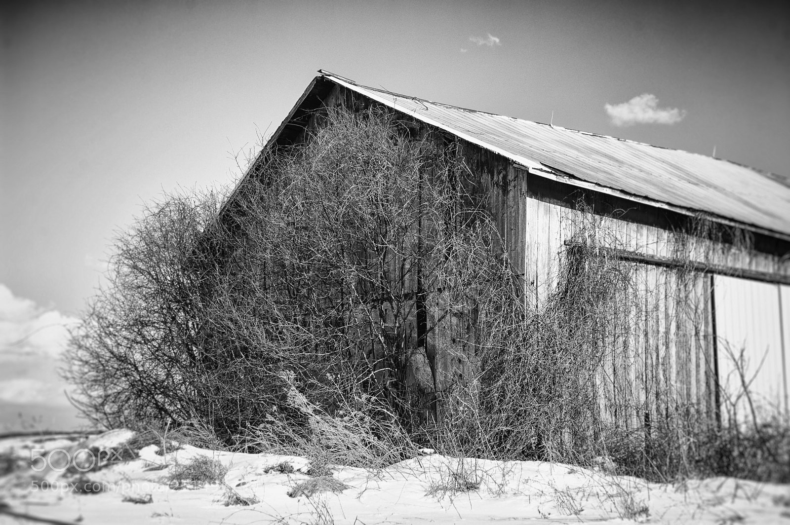 Nikon D40 sample photo. Barn in winter bw photography