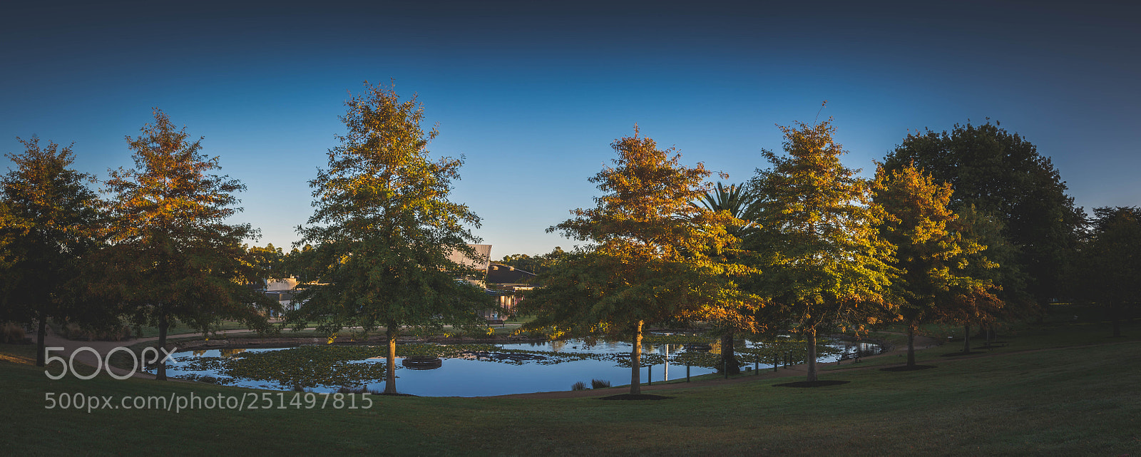 Nikon D610 sample photo. Morning at eureka photography