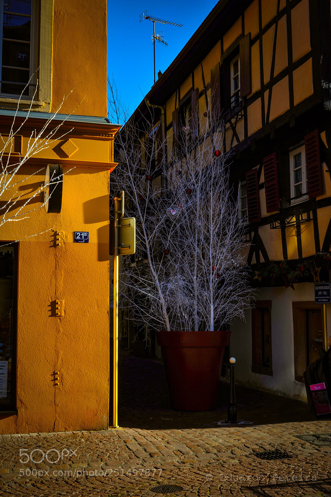 Nikon D700 sample photo. Untitled photography