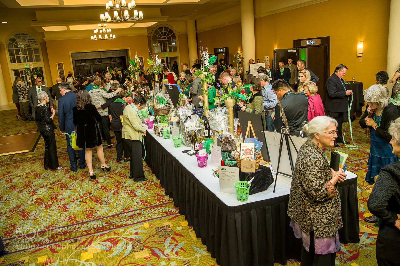 Nikon D5 sample photo. 2018 gala photography