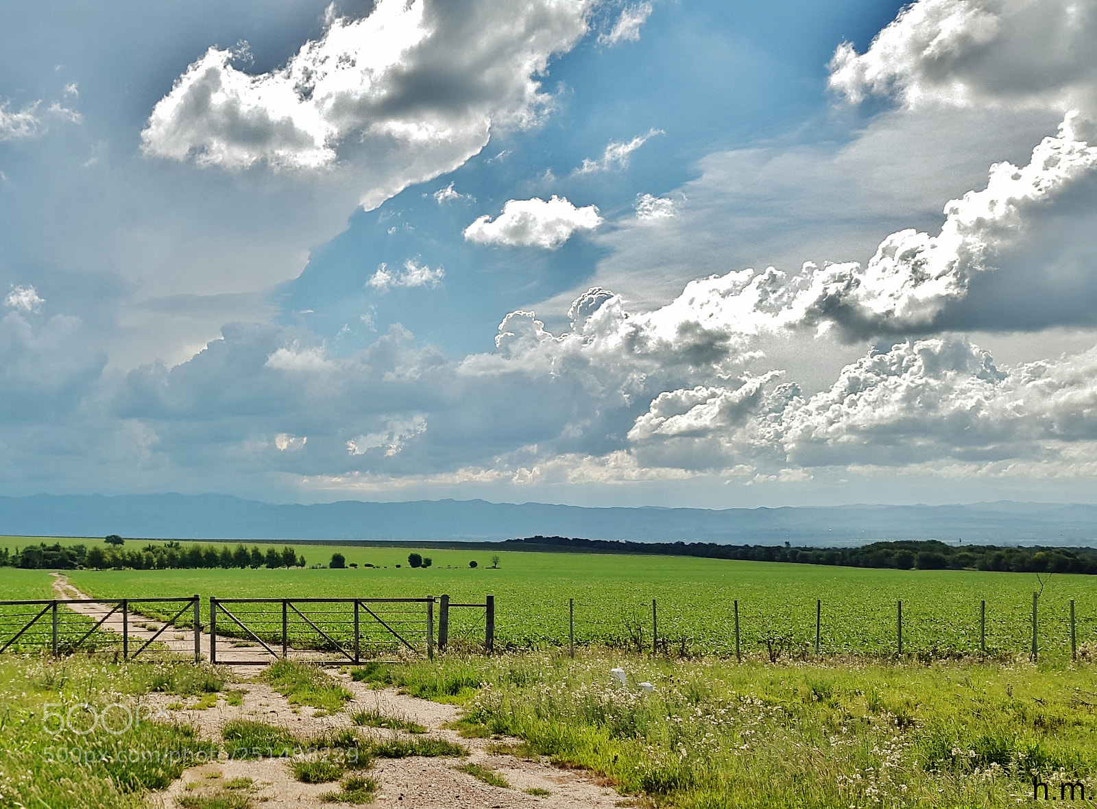 Samsung Galaxy S5 sample photo. F o photography