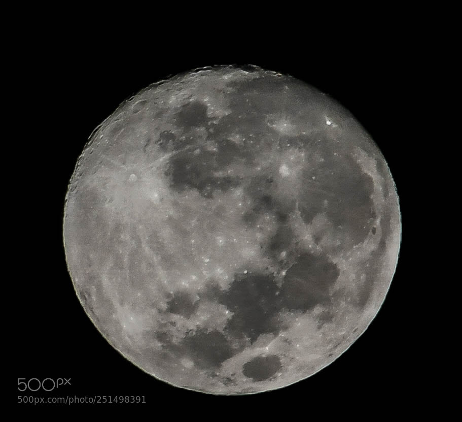 Nikon D7500 sample photo. Untitled photography