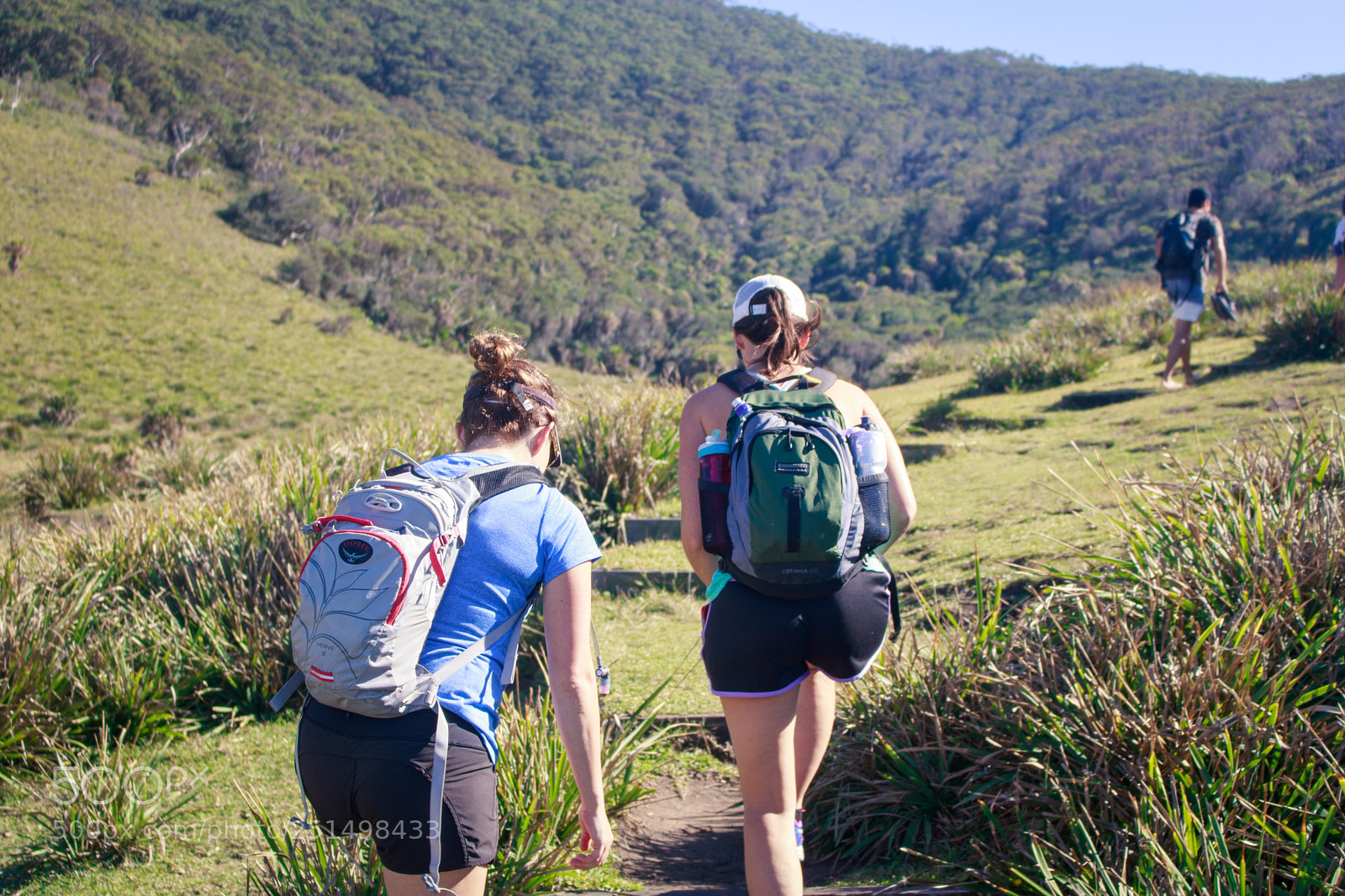Canon EOS 750D (EOS Rebel T6i / EOS Kiss X8i) sample photo. Coast track, royal national photography