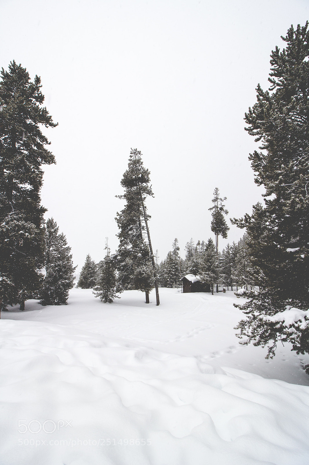 Canon EOS 650D (EOS Rebel T4i / EOS Kiss X6i) sample photo. Cabin in the woods photography