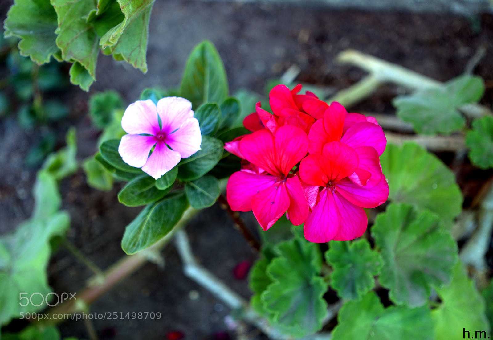 Sony Cyber-shot DSC-RX100 III sample photo. Ecabao photography