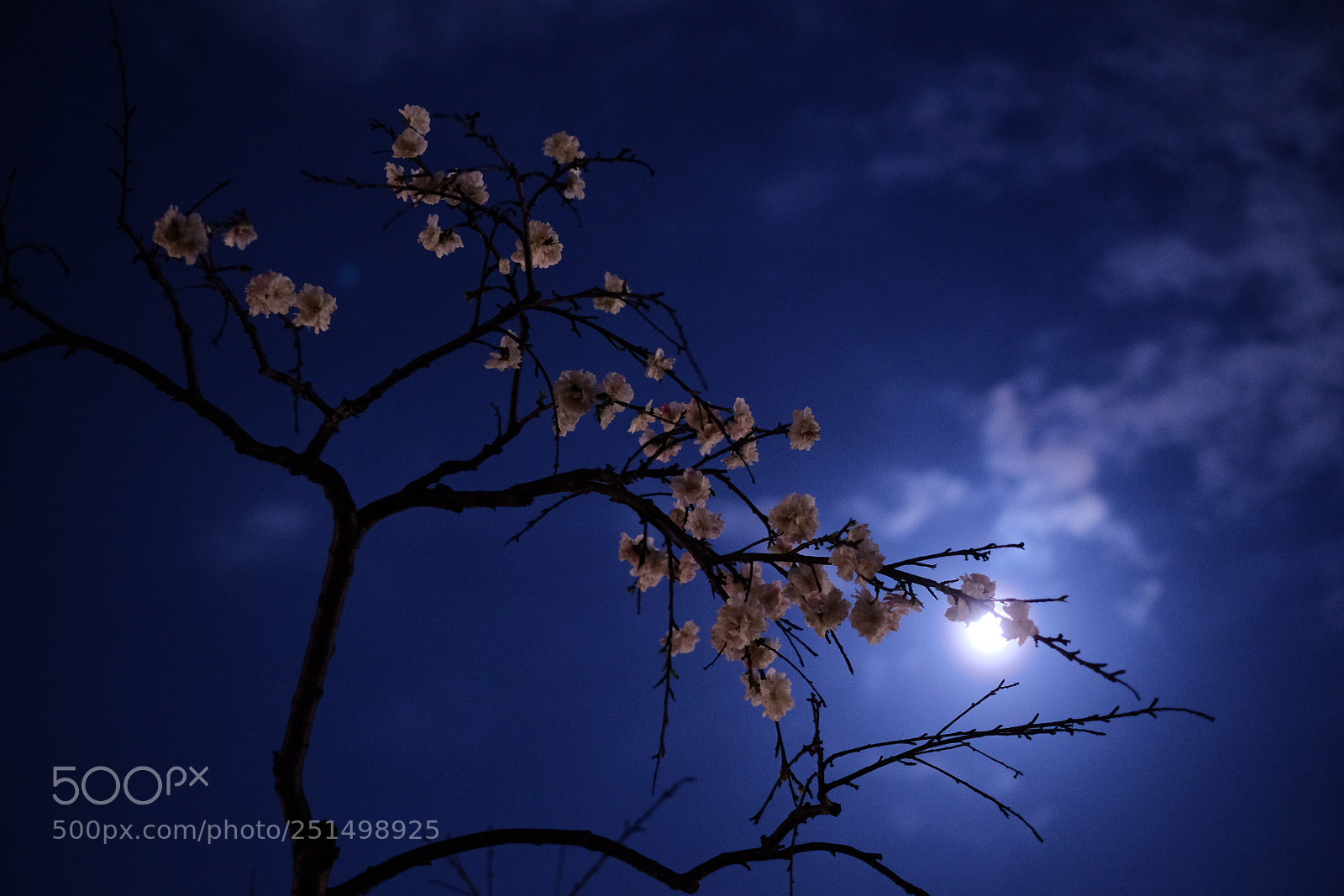 Fujifilm X-T20 sample photo. Blightning photography
