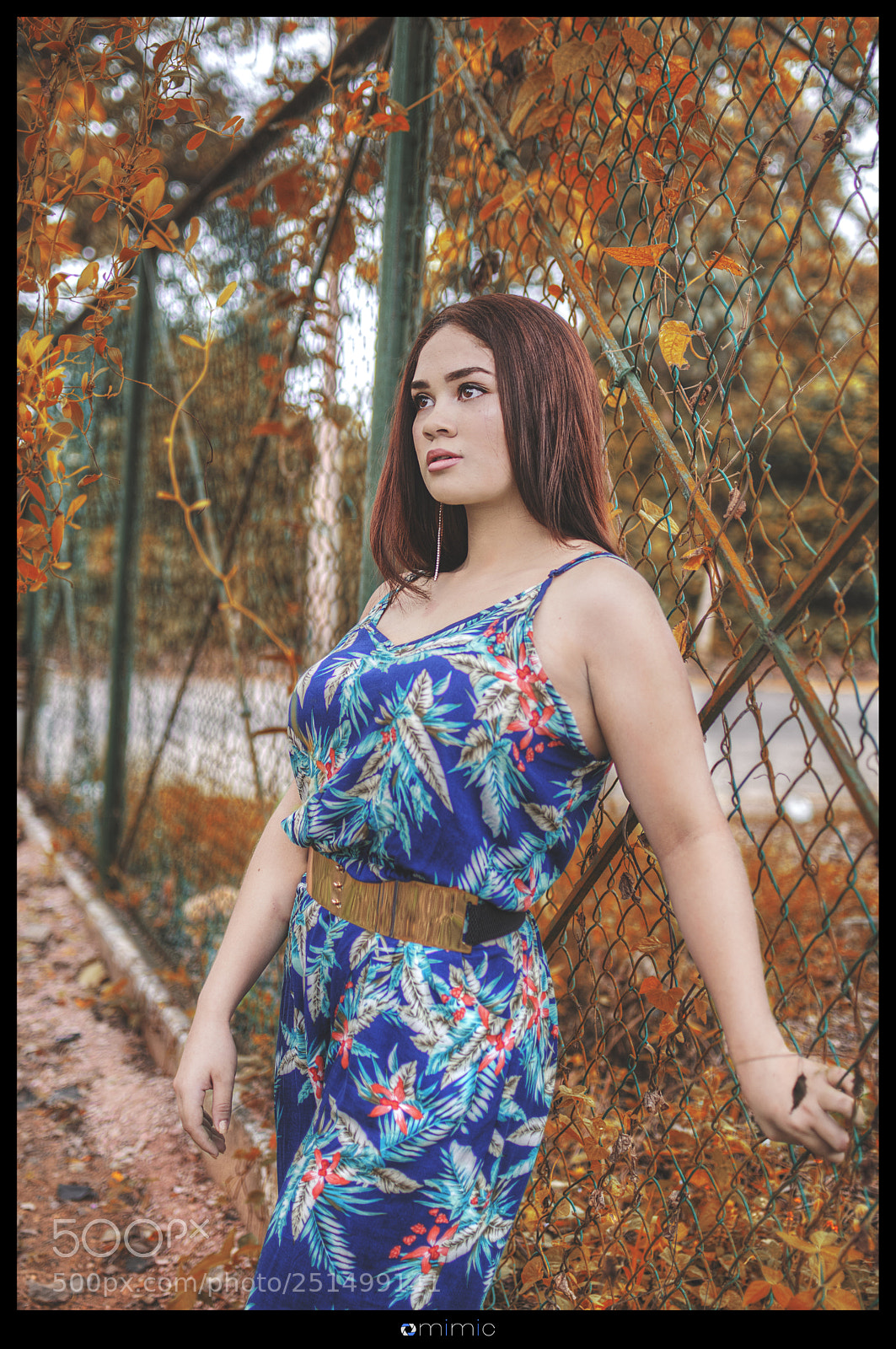 Nikon D5300 sample photo. Smv - 01 photography