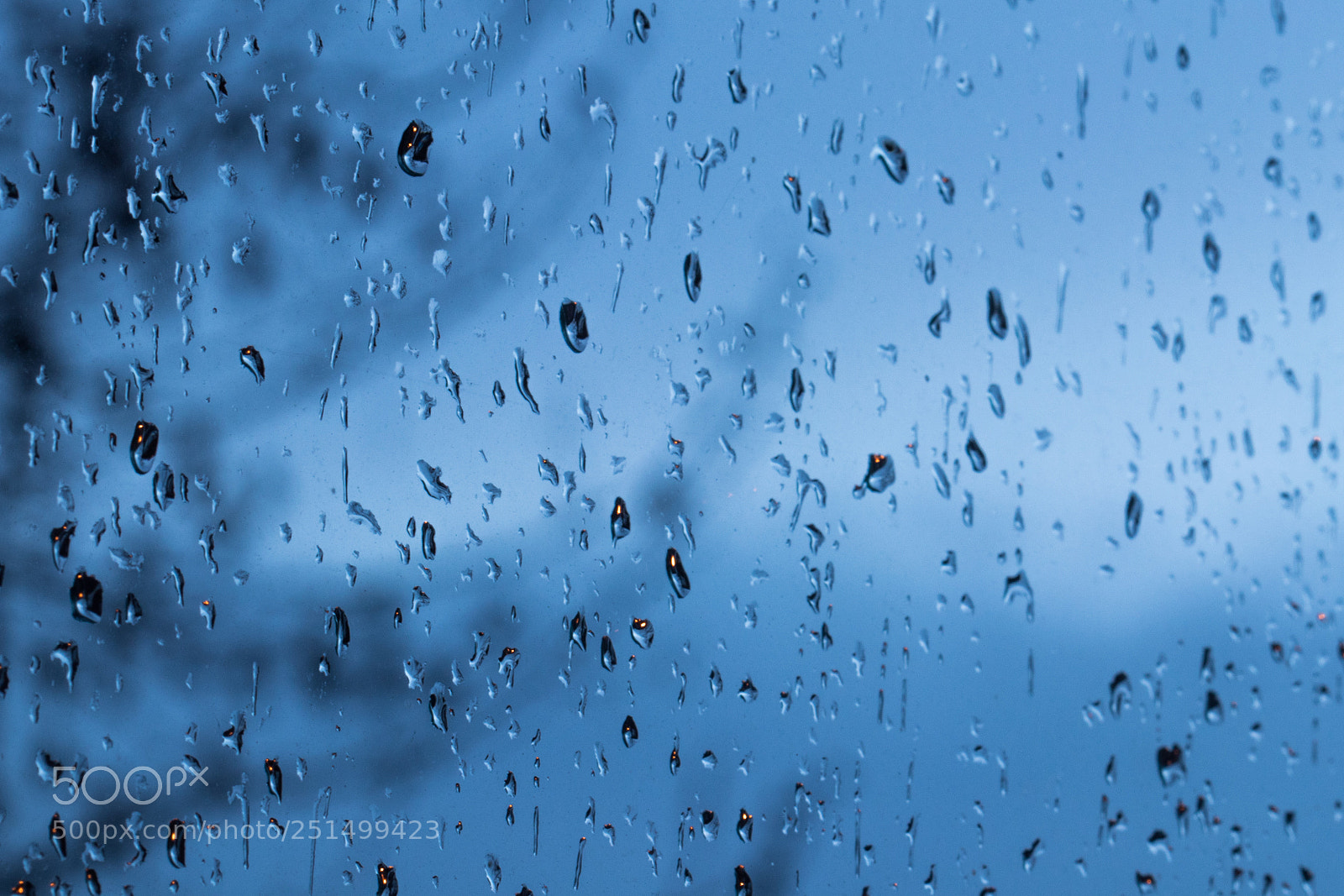 Canon EOS 80D sample photo. Rain photography
