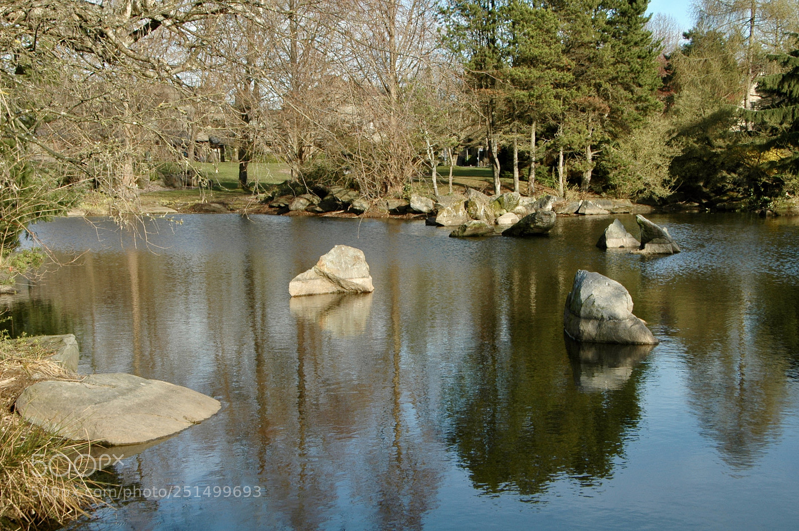 Nikon D70 sample photo. Fullsizeoutput c photography