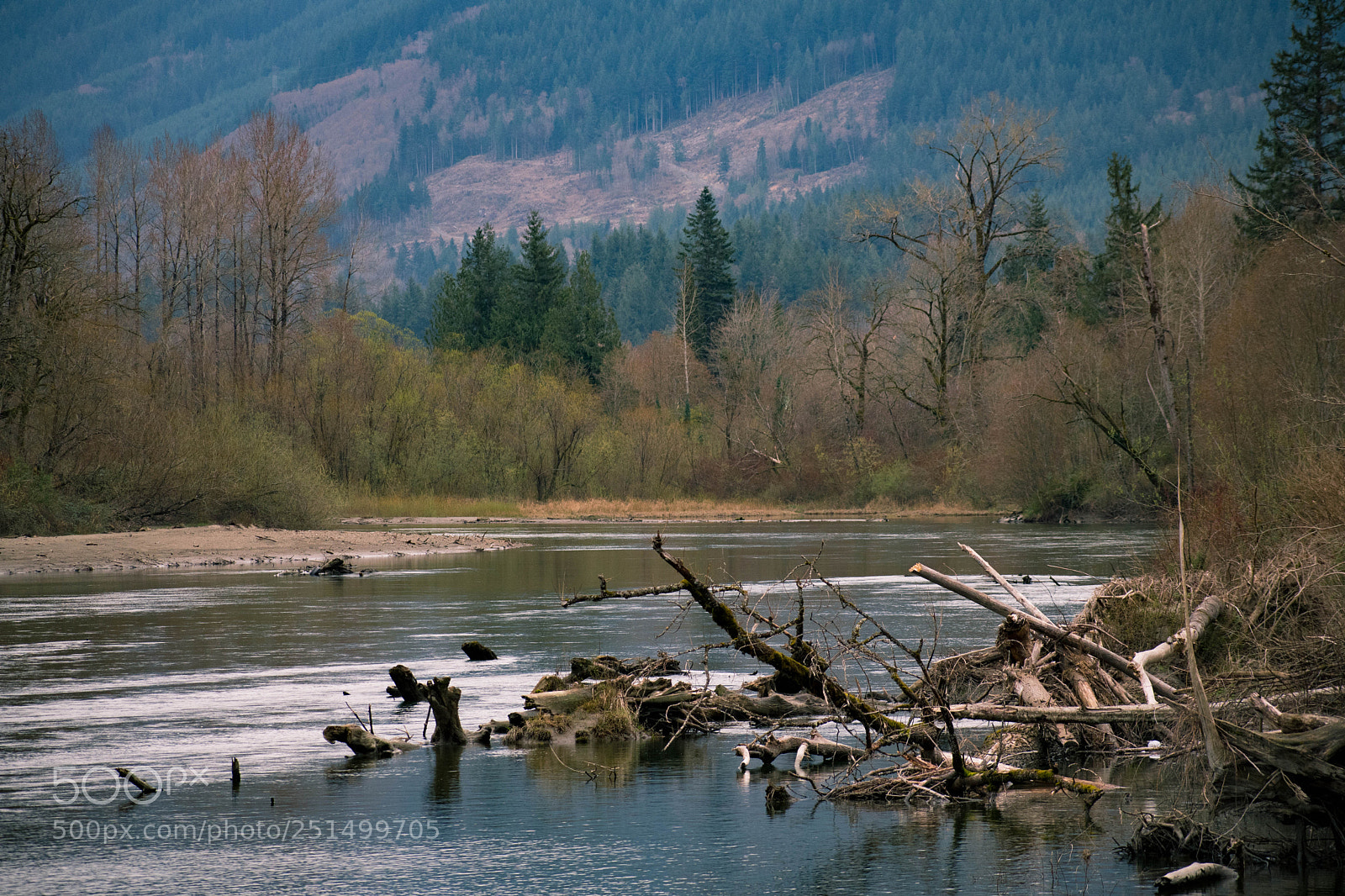 Nikon D7500 sample photo. The bend photography