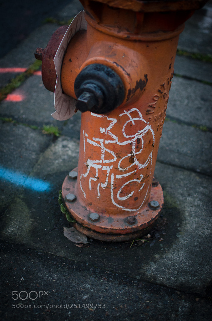 Nikon D7000 sample photo. Untitled photography