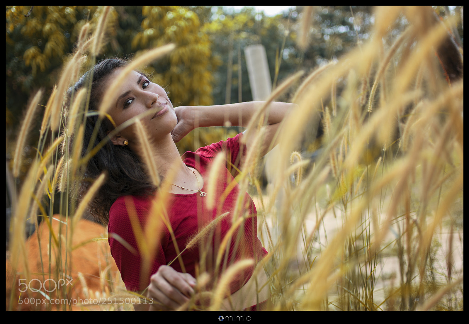 Nikon D5300 sample photo. Smv - 05 photography