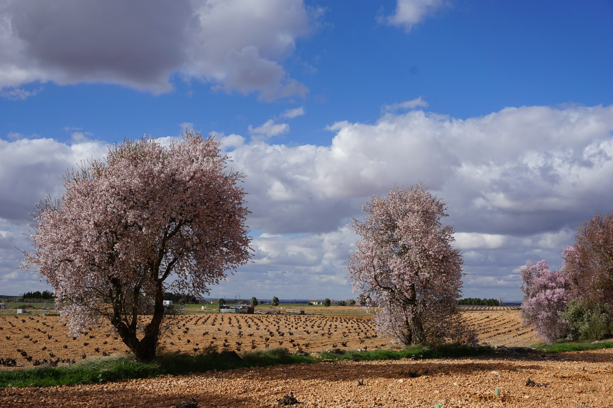 Sony a6000 + Sony E 18-50mm F4-5.6 sample photo. Somewhere in la mancha photography