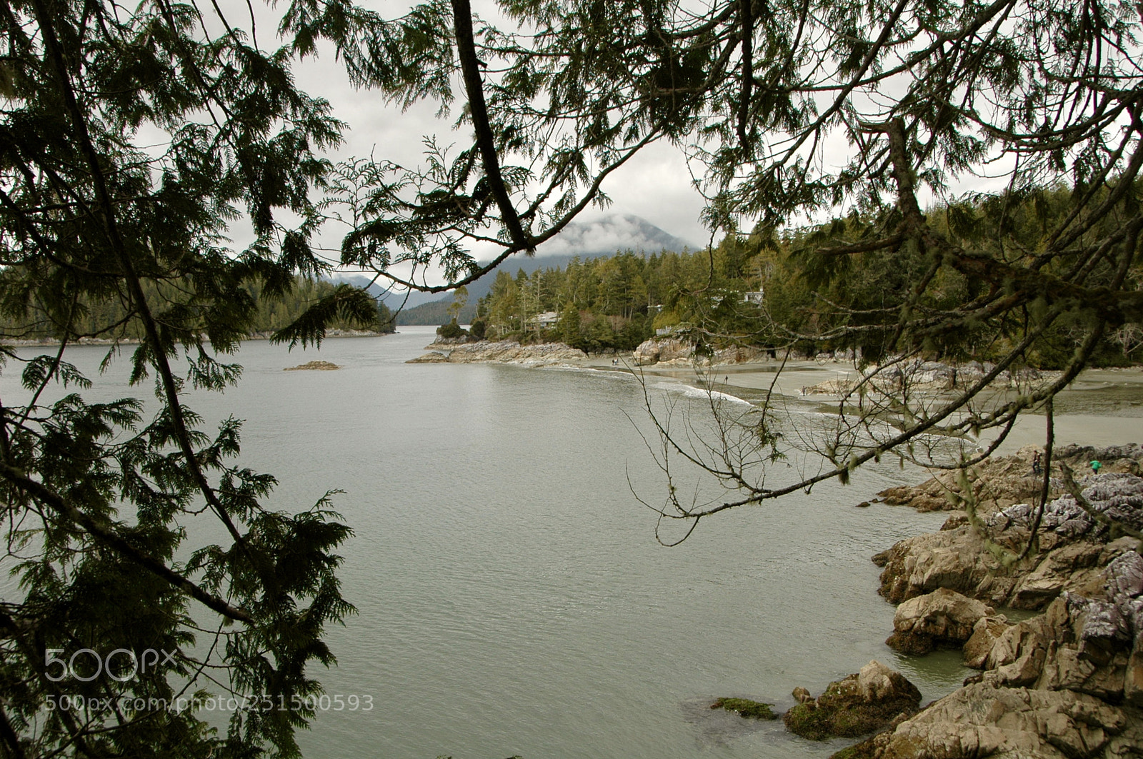 Nikon D70 sample photo. Fullsizeoutput e photography
