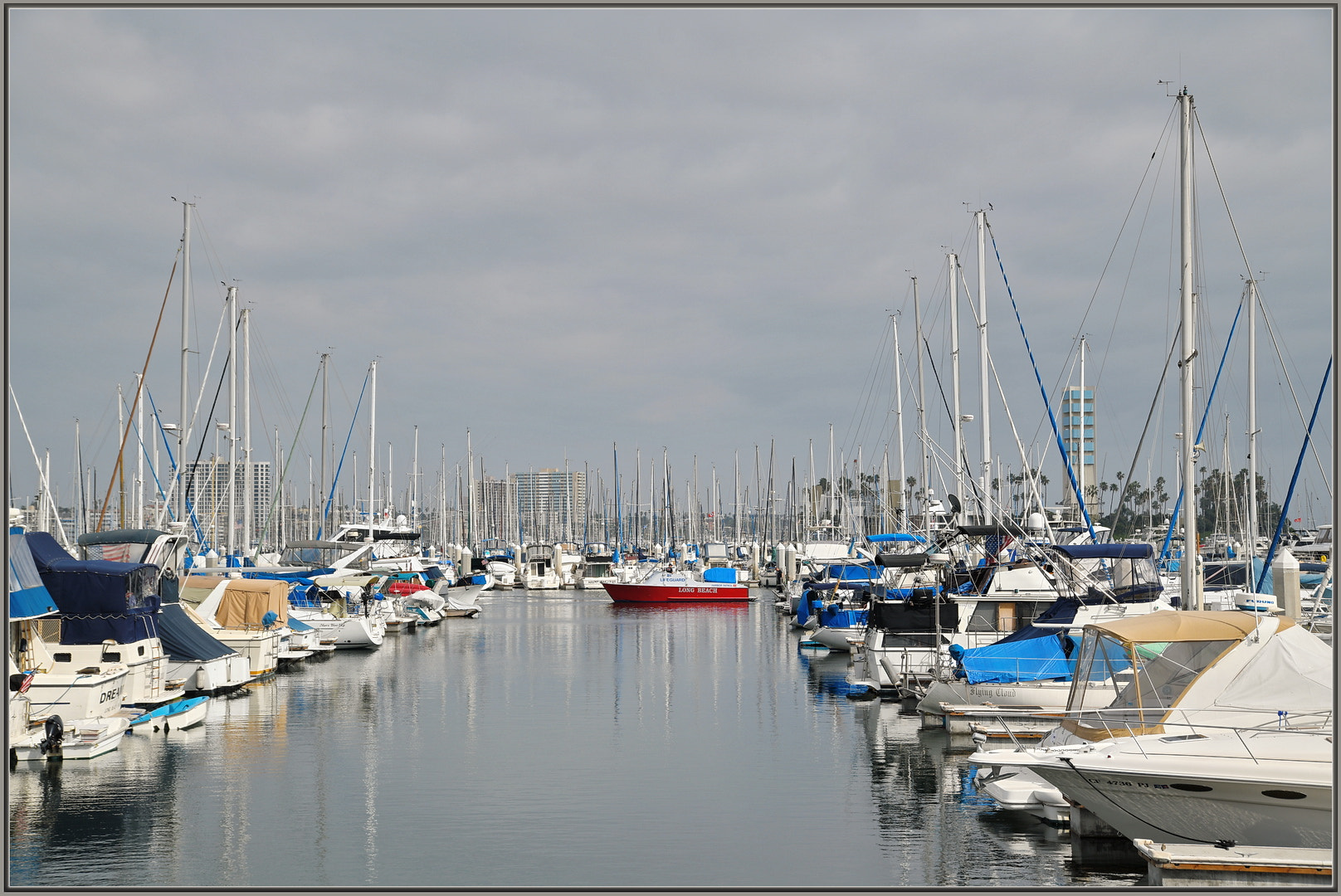 Nikon D850 + Sigma 24-105mm F4 DG OS HSM Art sample photo. Long beach harbor photography