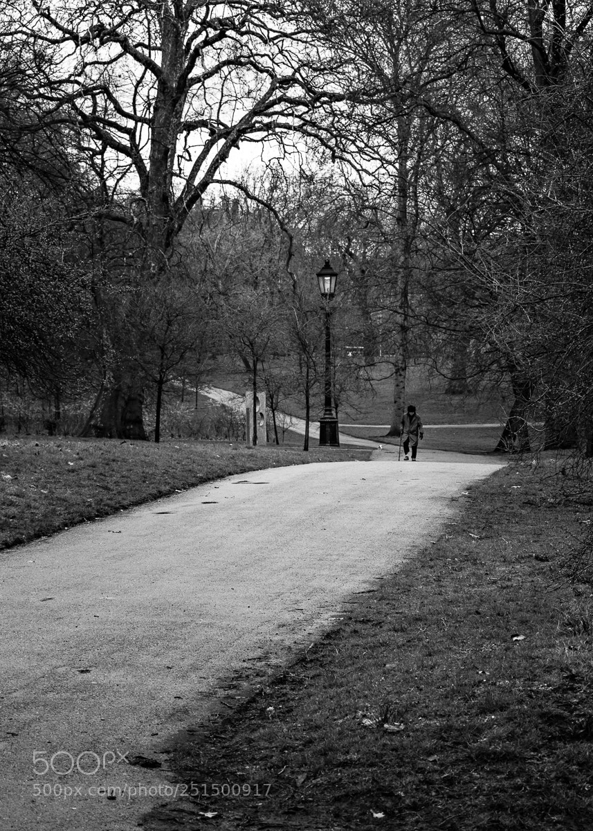Nikon D5500 sample photo. Winter walk photography