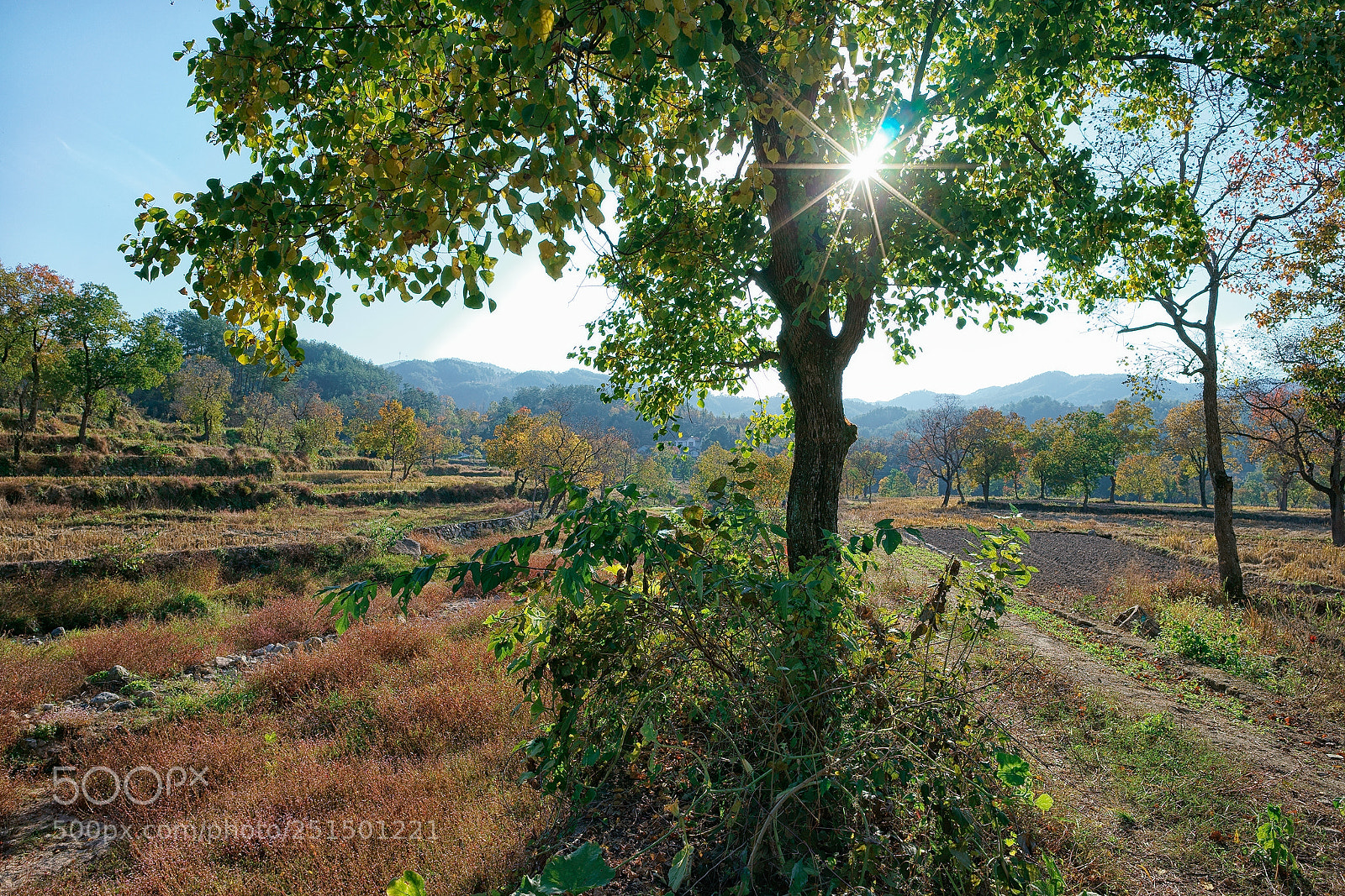 Sony a7 sample photo. Dsc photography