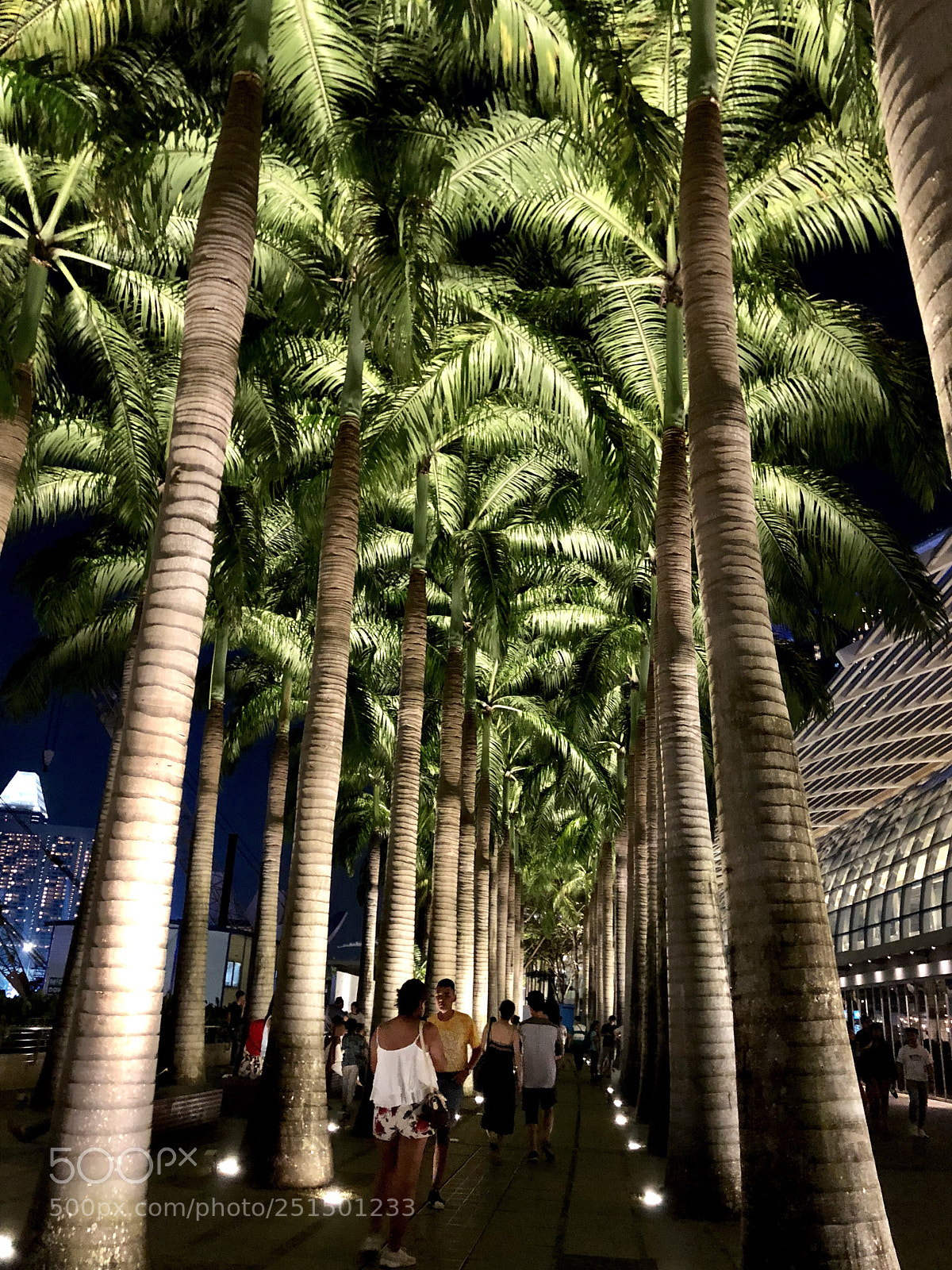 Apple iPhone X sample photo. Marina bay, singapore  photography