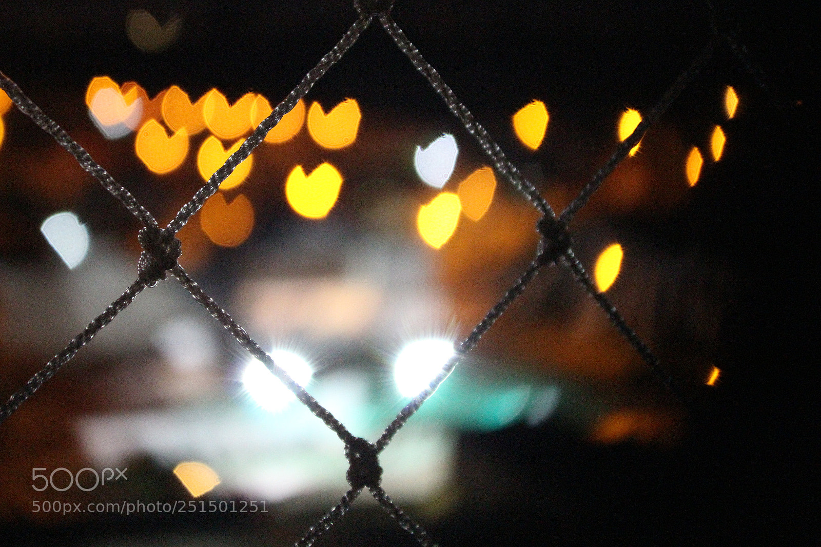 Canon EOS 700D (EOS Rebel T5i / EOS Kiss X7i) sample photo. Untitled photography