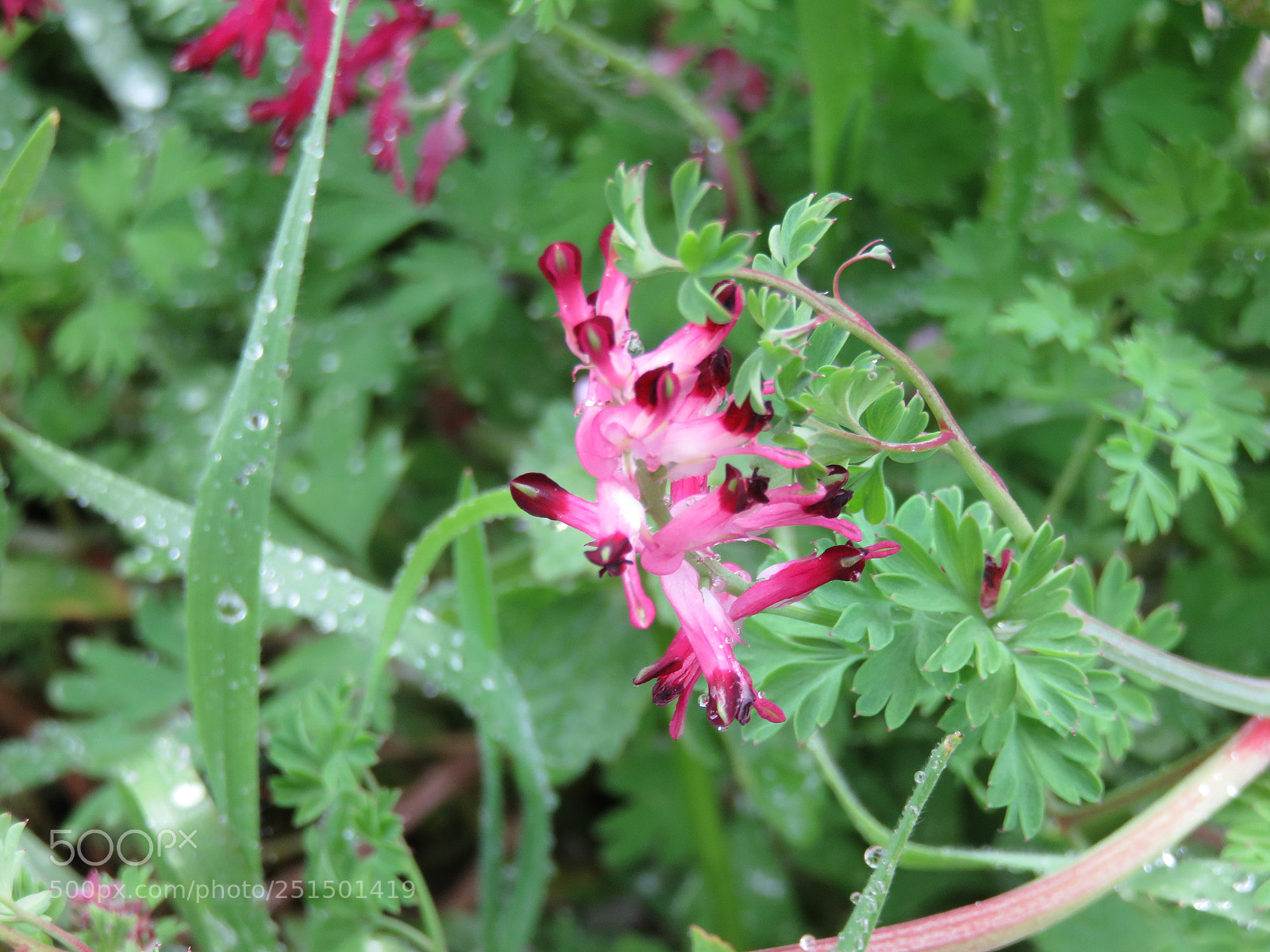 Canon PowerShot SX710 HS sample photo. Untitled photography