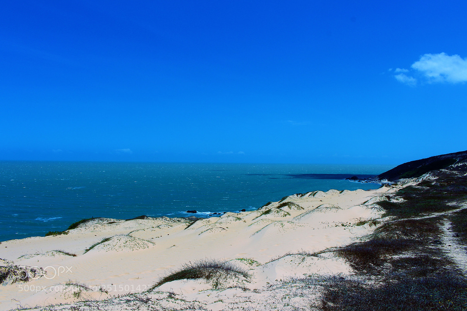 Canon EOS 700D (EOS Rebel T5i / EOS Kiss X7i) sample photo. Jeri 1 photography