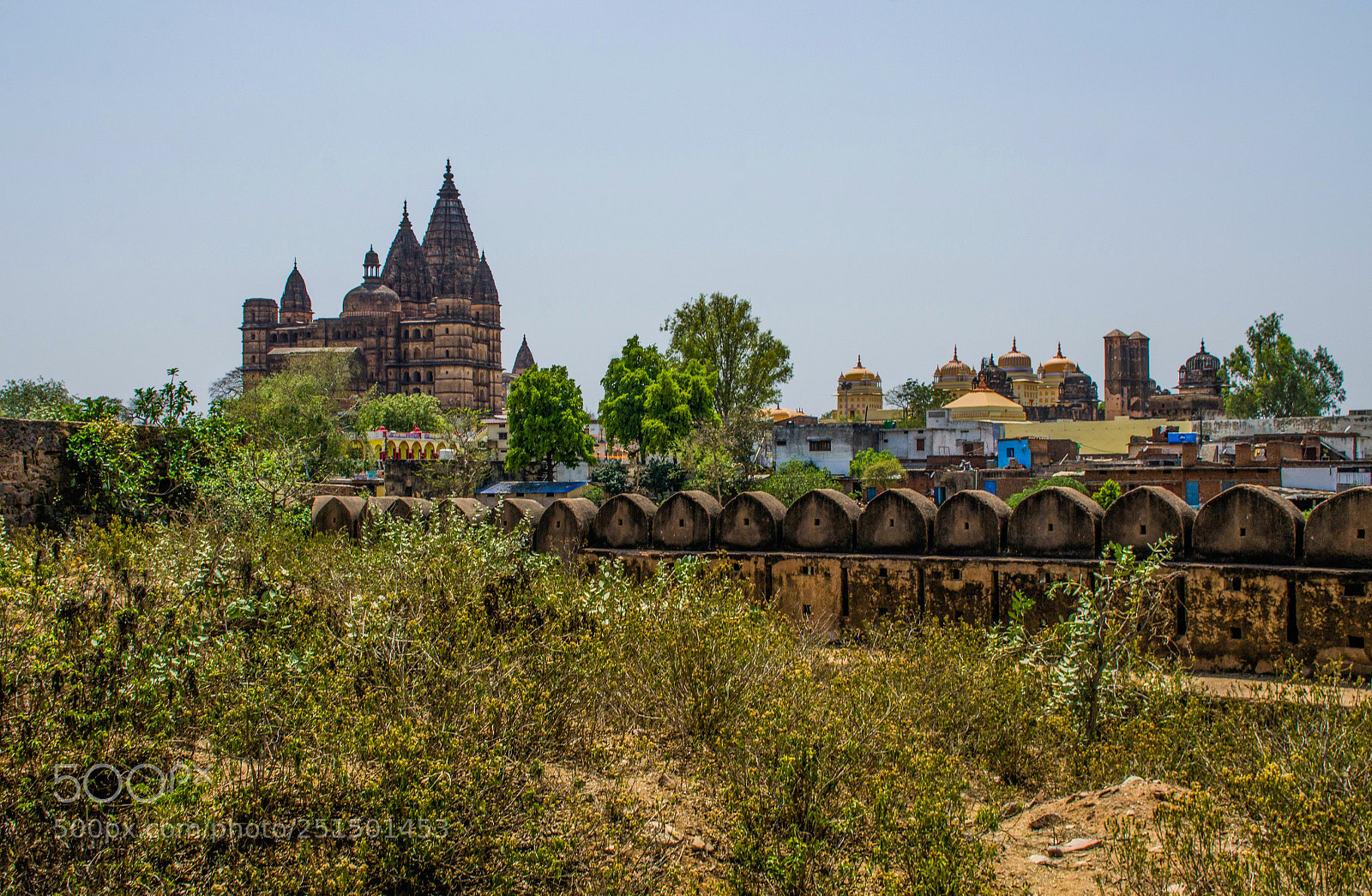 Nikon D7000 sample photo. Orchha photography