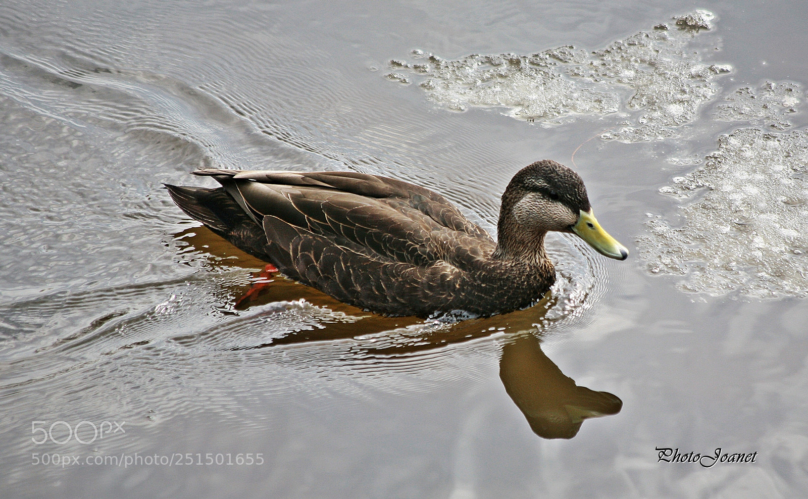Canon EOS 5D sample photo. Miroir. photography
