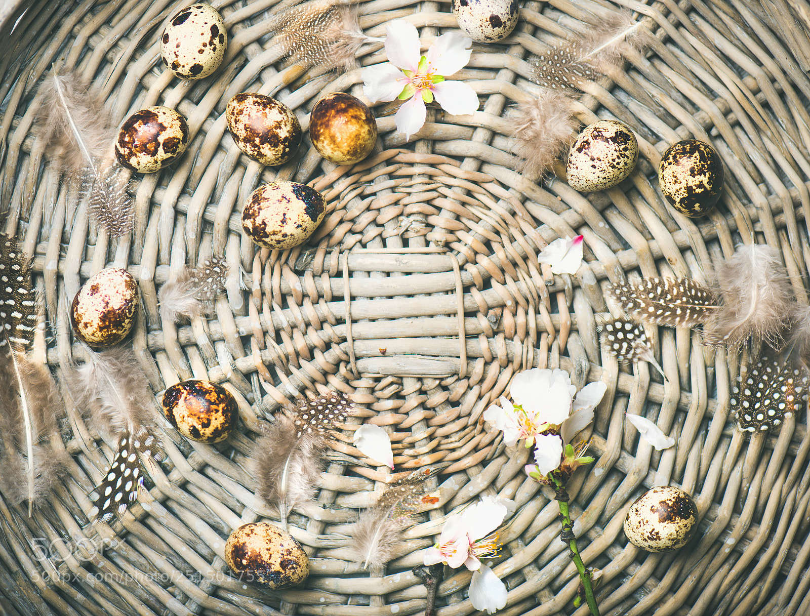Nikon D610 sample photo. Natural colored quail eggs photography