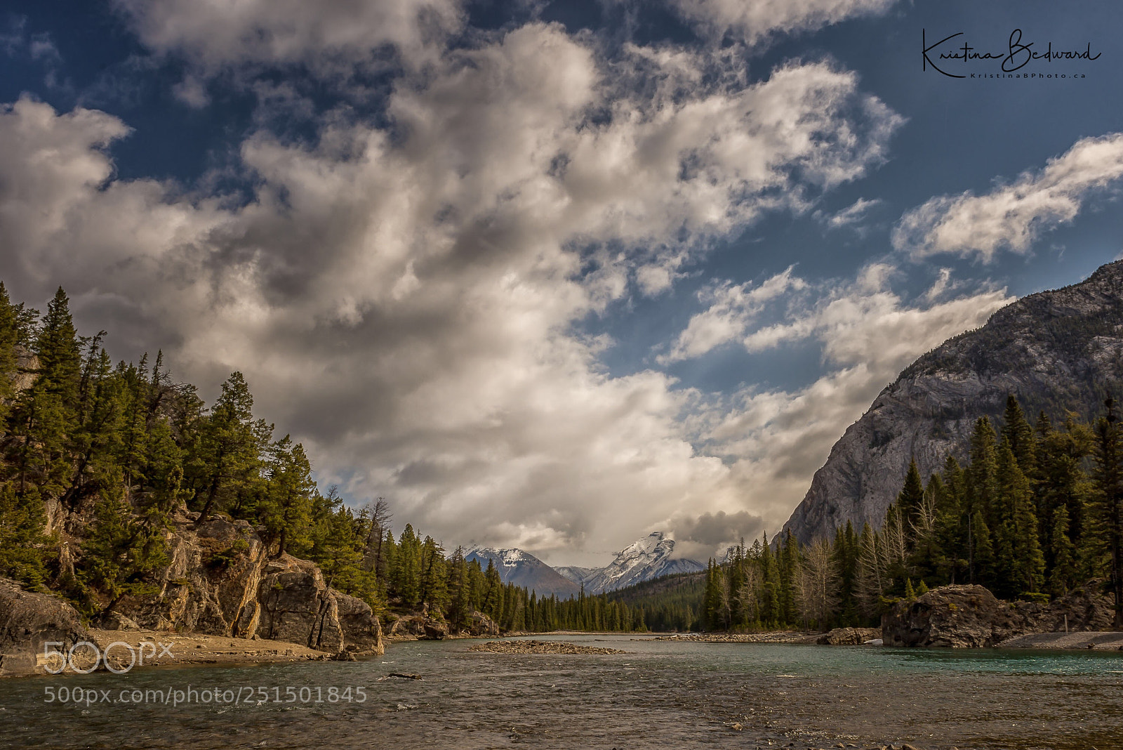 Nikon D600 sample photo. The bow river photography