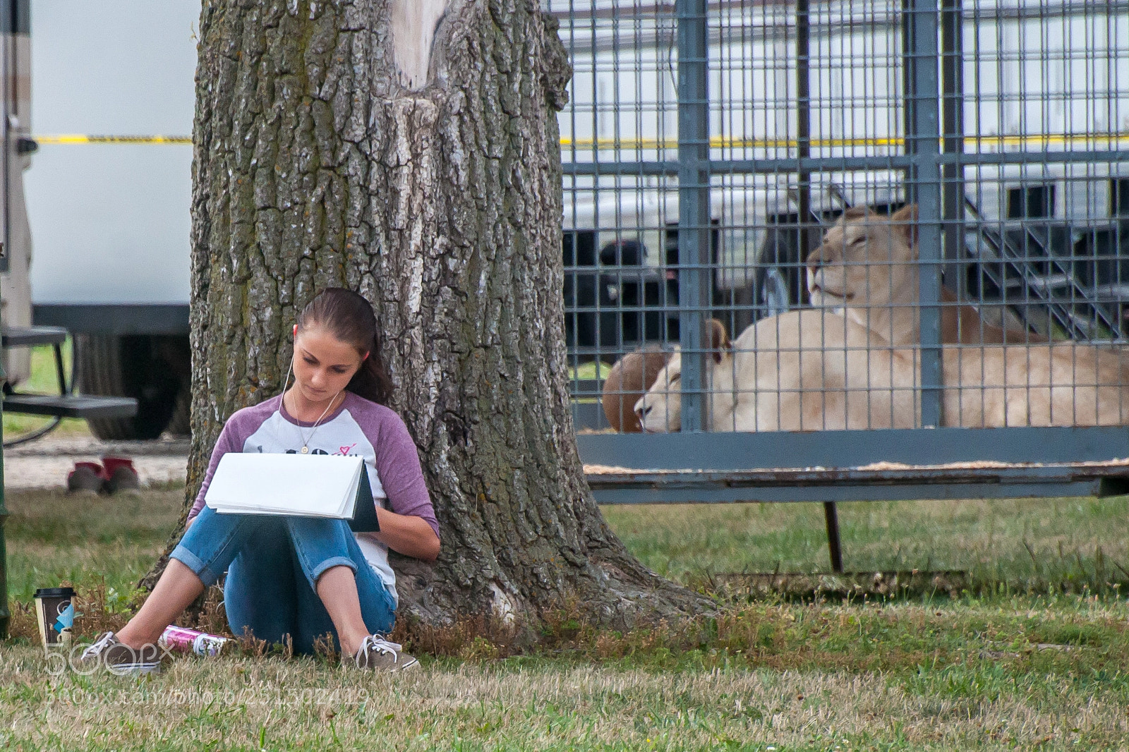 Nikon D90 sample photo. Lion cage photography