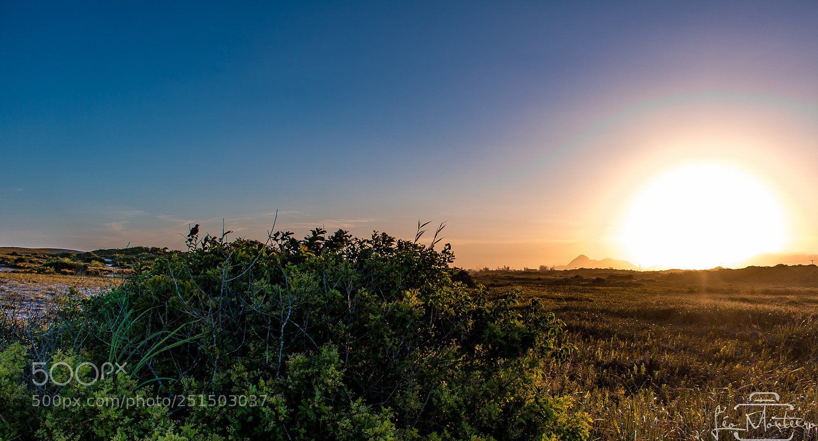 Canon EOS 70D sample photo. Nature and landscapes photography