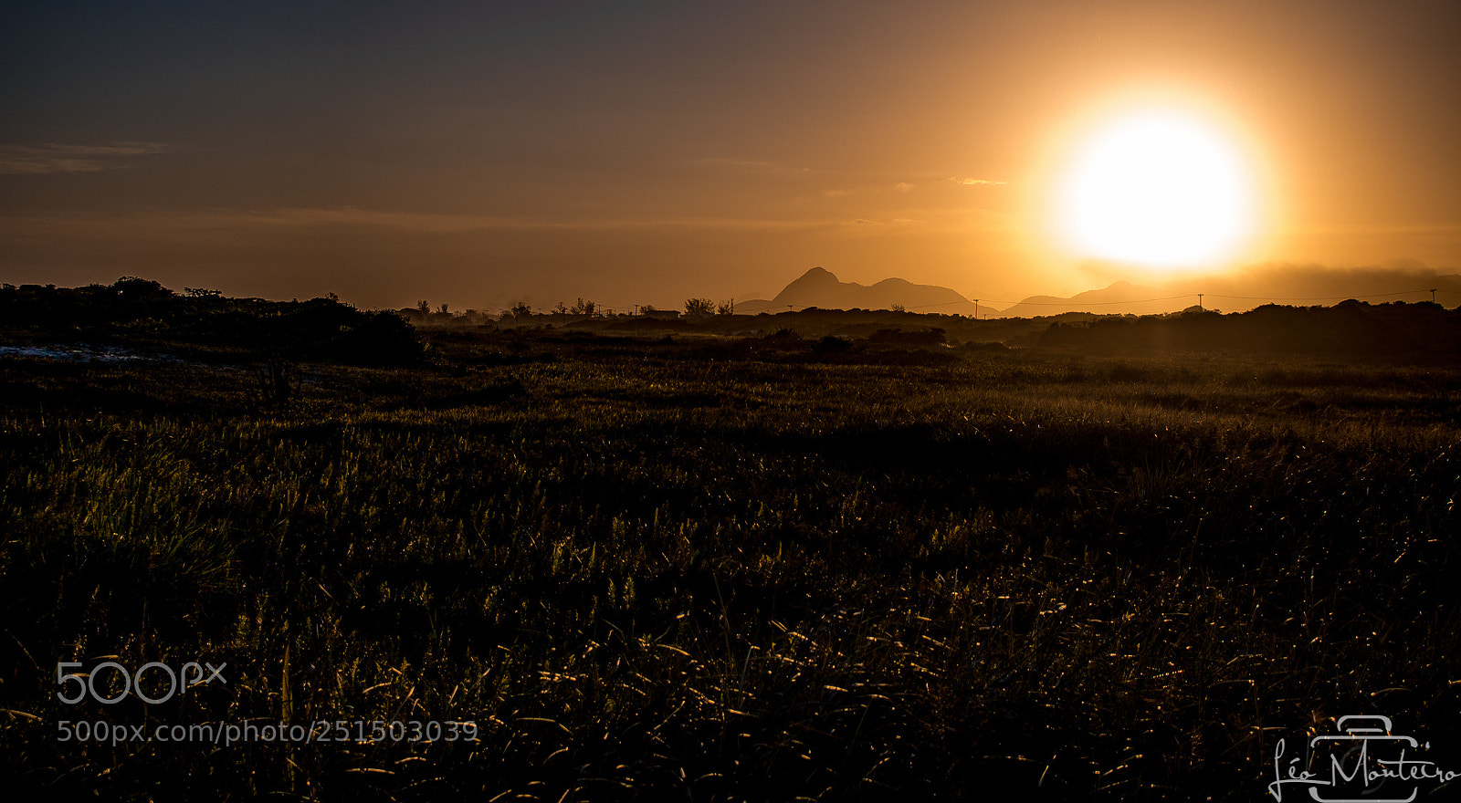 Canon EOS 70D sample photo. Nature and landscapes photography